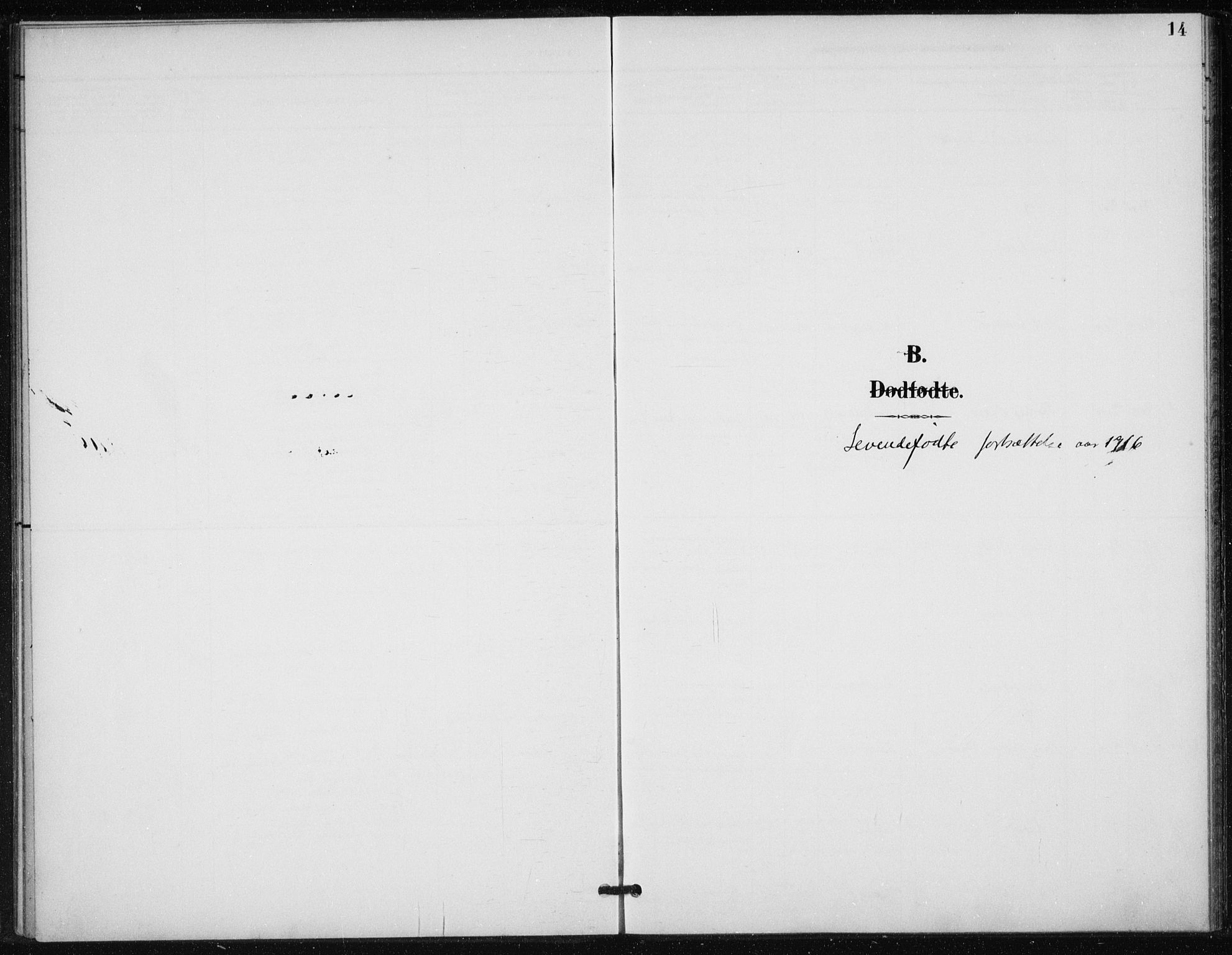 Døves menighet Oslo prestekontor kirkebøker, SAO/A-11064/F/L0001: Parish register (official) no. 1, 1895-1919, p. 14