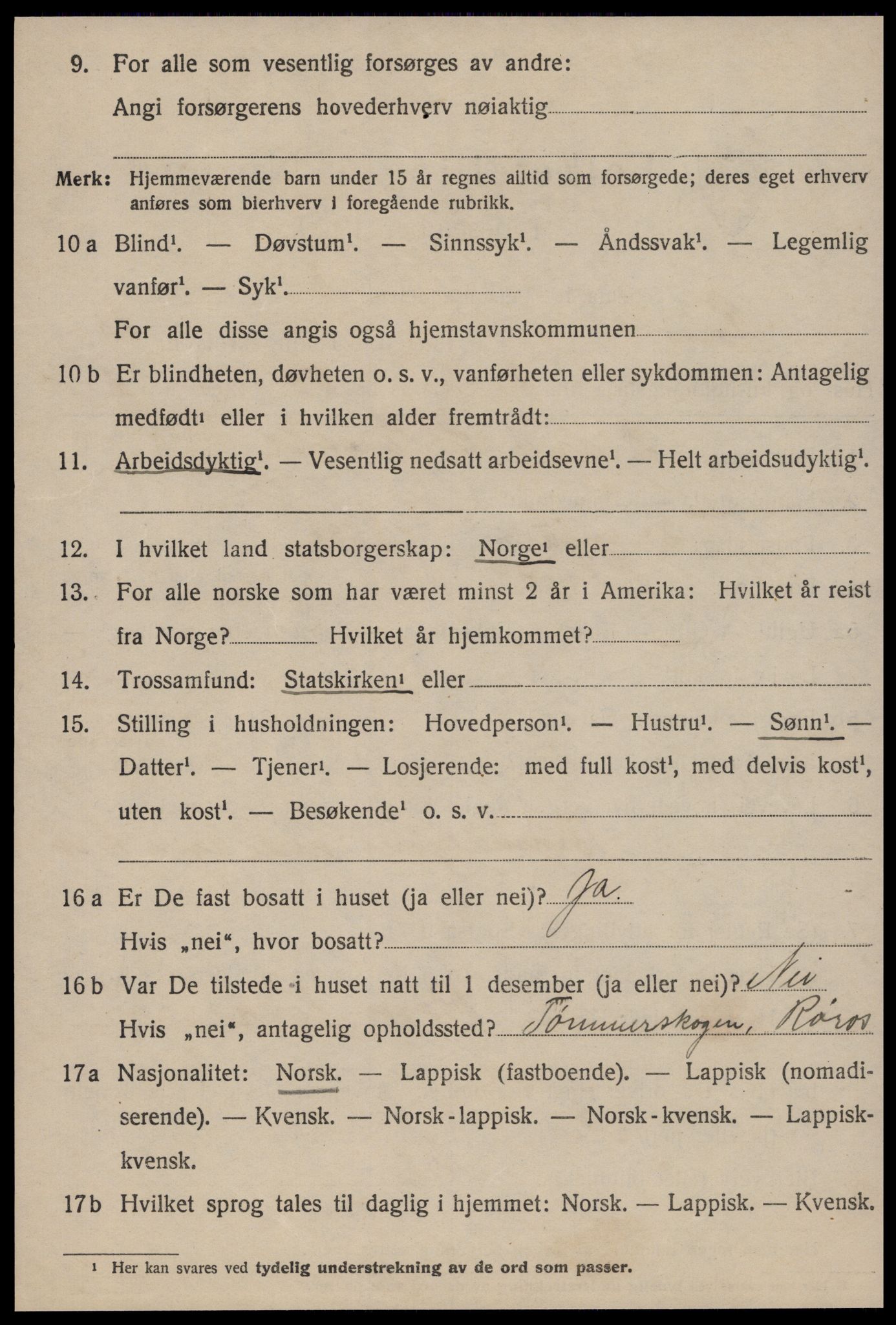 SAT, 1920 census for Røros, 1920, p. 9381