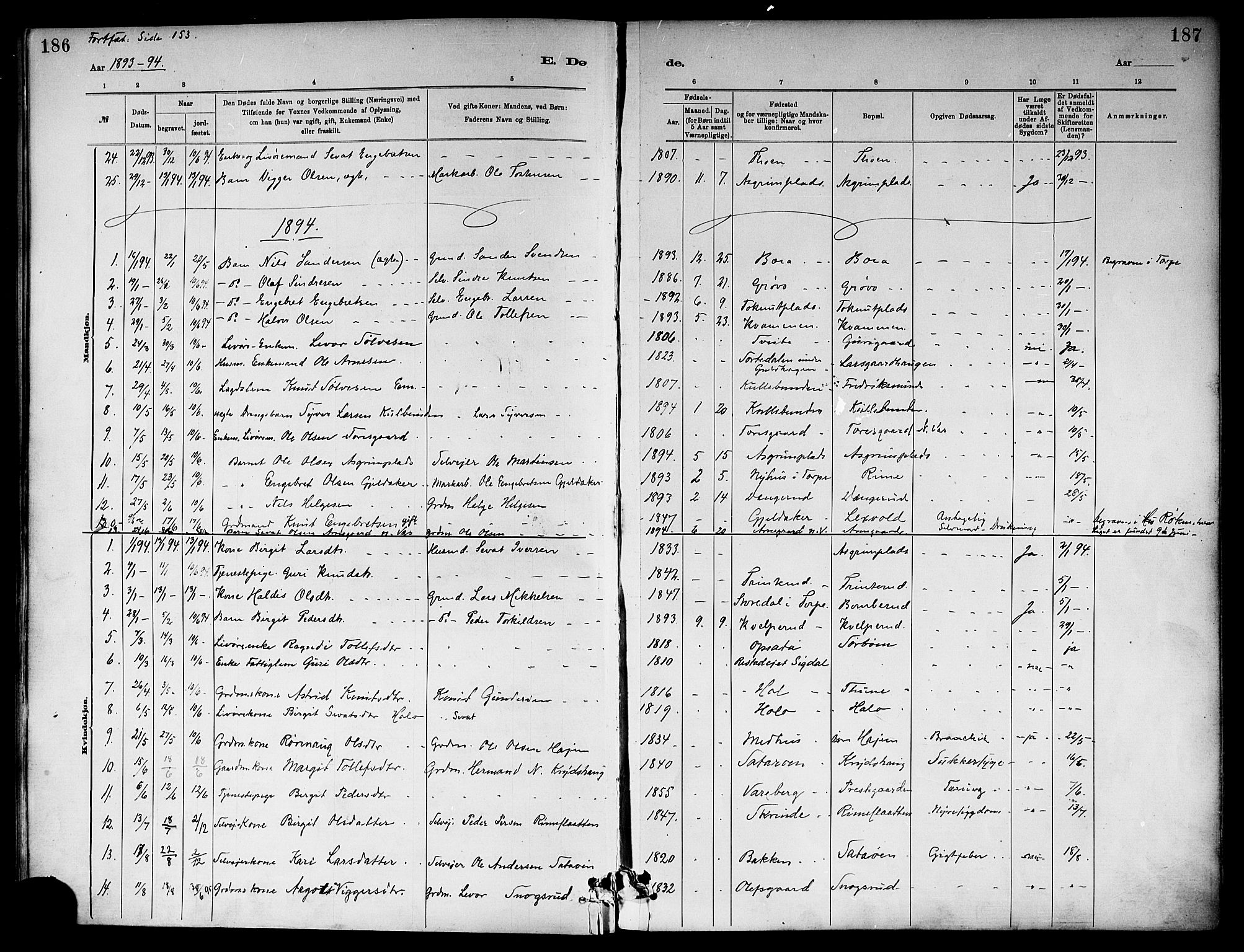 Ål kirkebøker, SAKO/A-249/F/Fa/L0008: Parish register (official) no. I 8, 1882-1896, p. 186-187