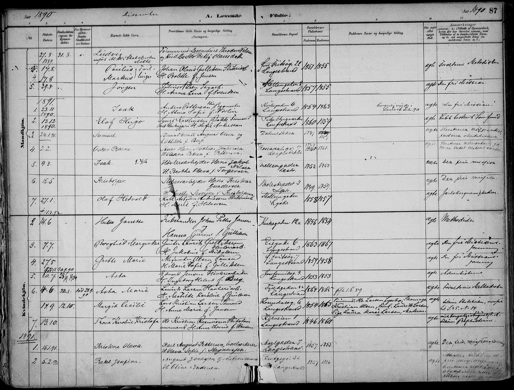 Larvik kirkebøker, AV/SAKO-A-352/F/Fb/L0004: Parish register (official) no. II 4, 1884-1902, p. 87