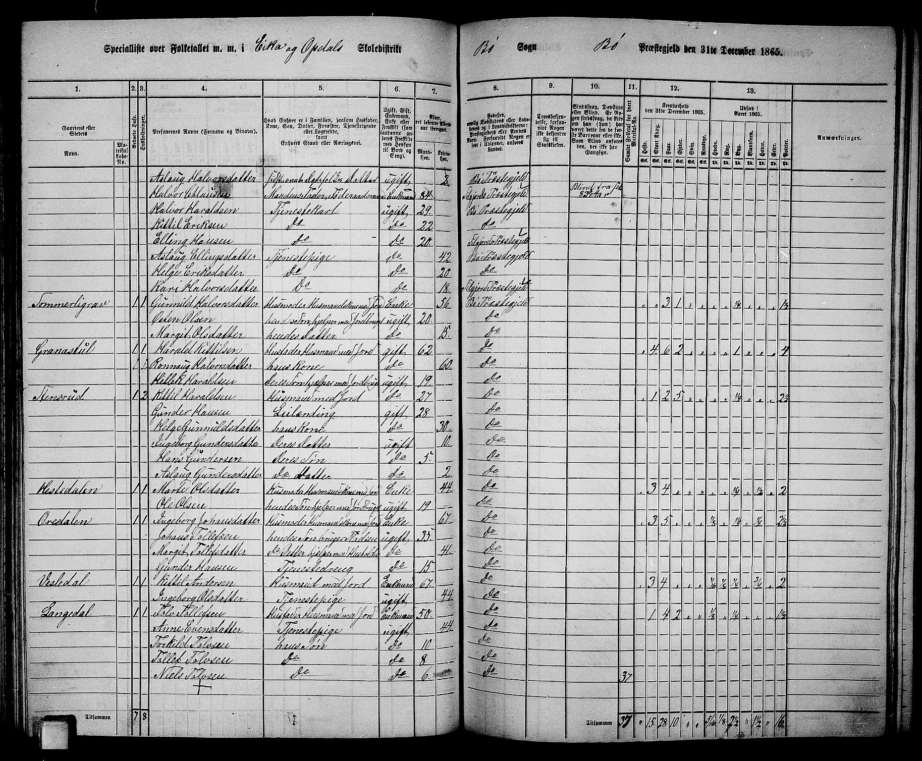 RA, 1865 census for Bø, 1865, p. 113