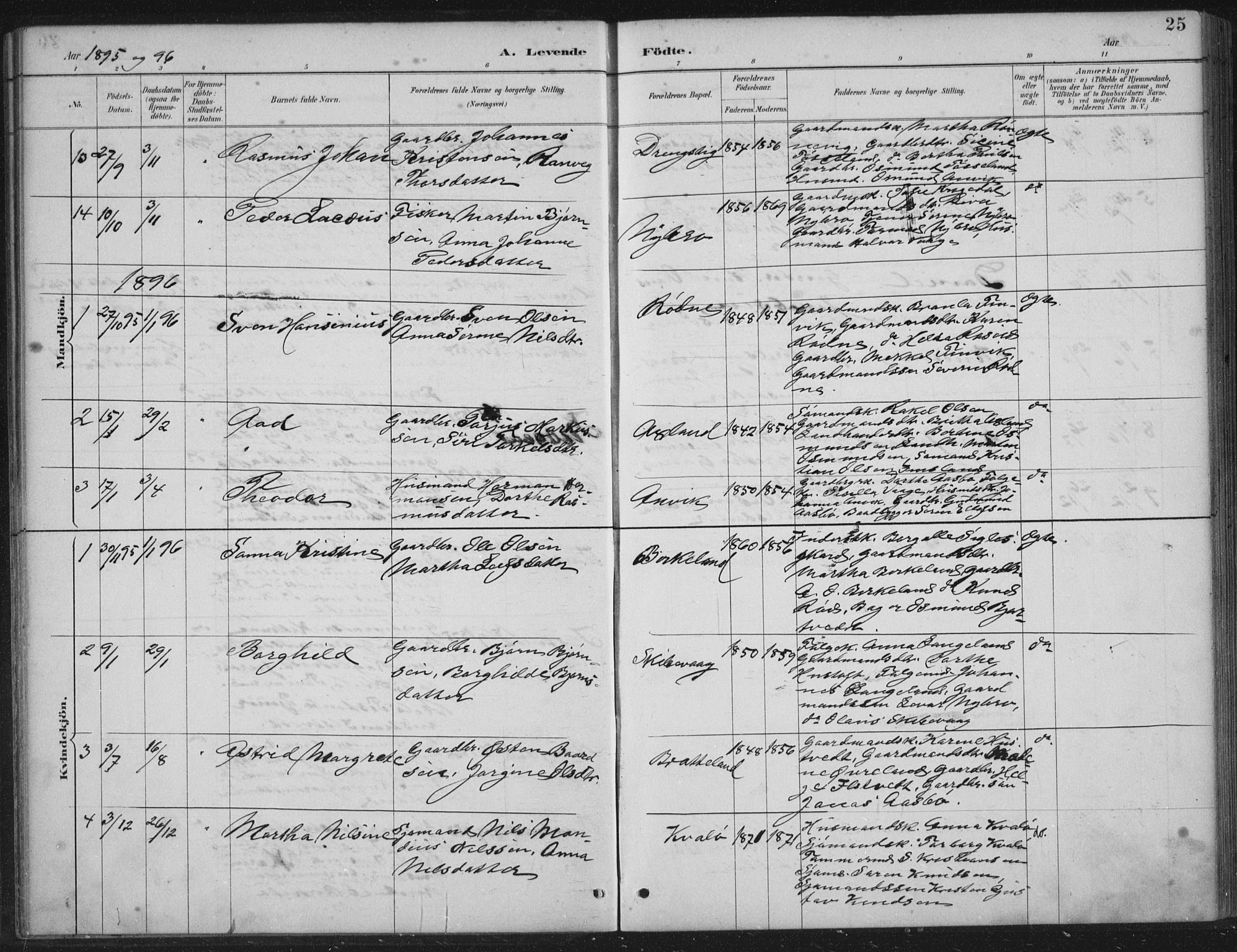 Vikedal sokneprestkontor, AV/SAST-A-101840/01/IV: Parish register (official) no. A 12, 1886-1929, p. 25