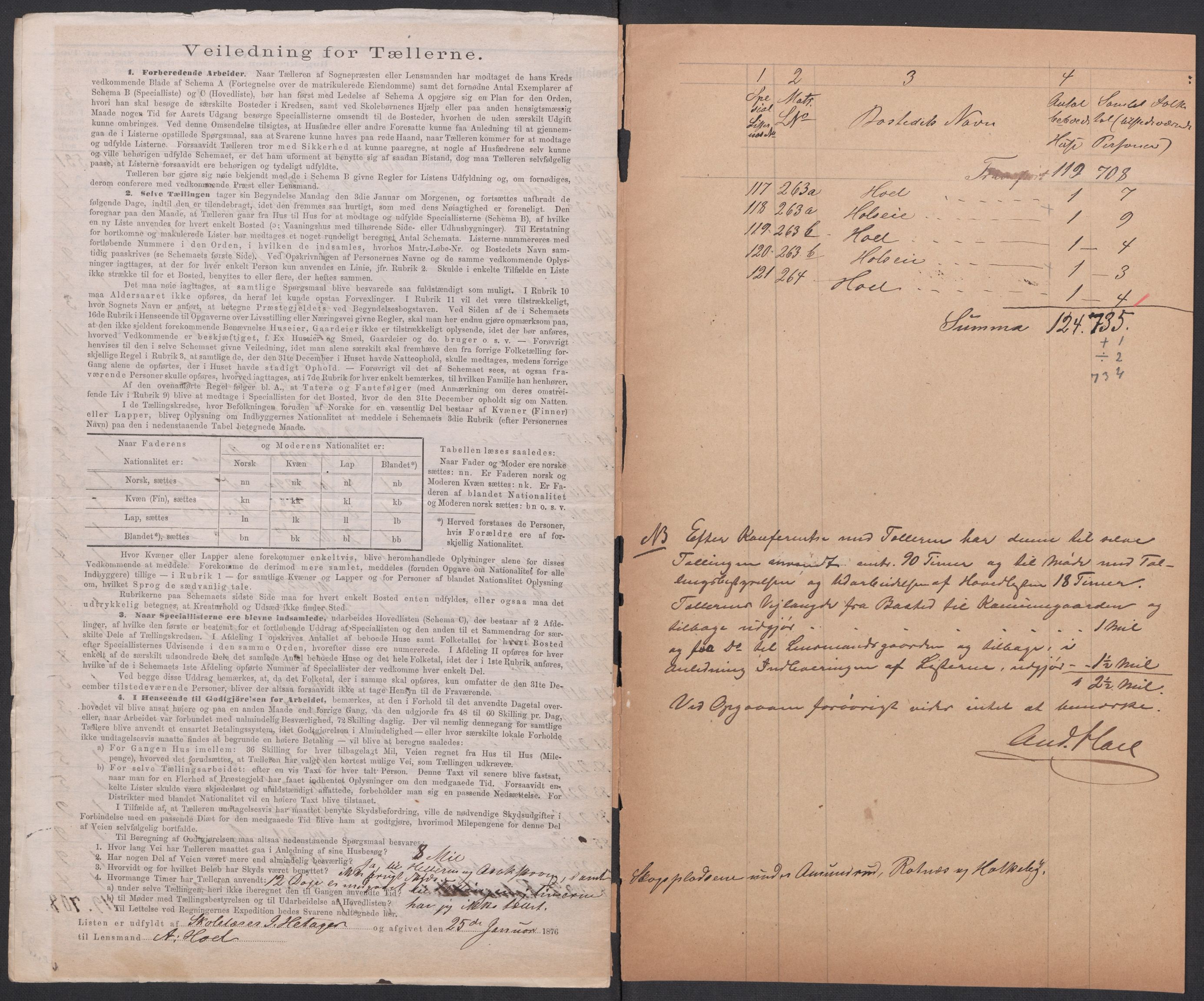 RA, 1875 census for 0238P Nannestad, 1875, p. 31