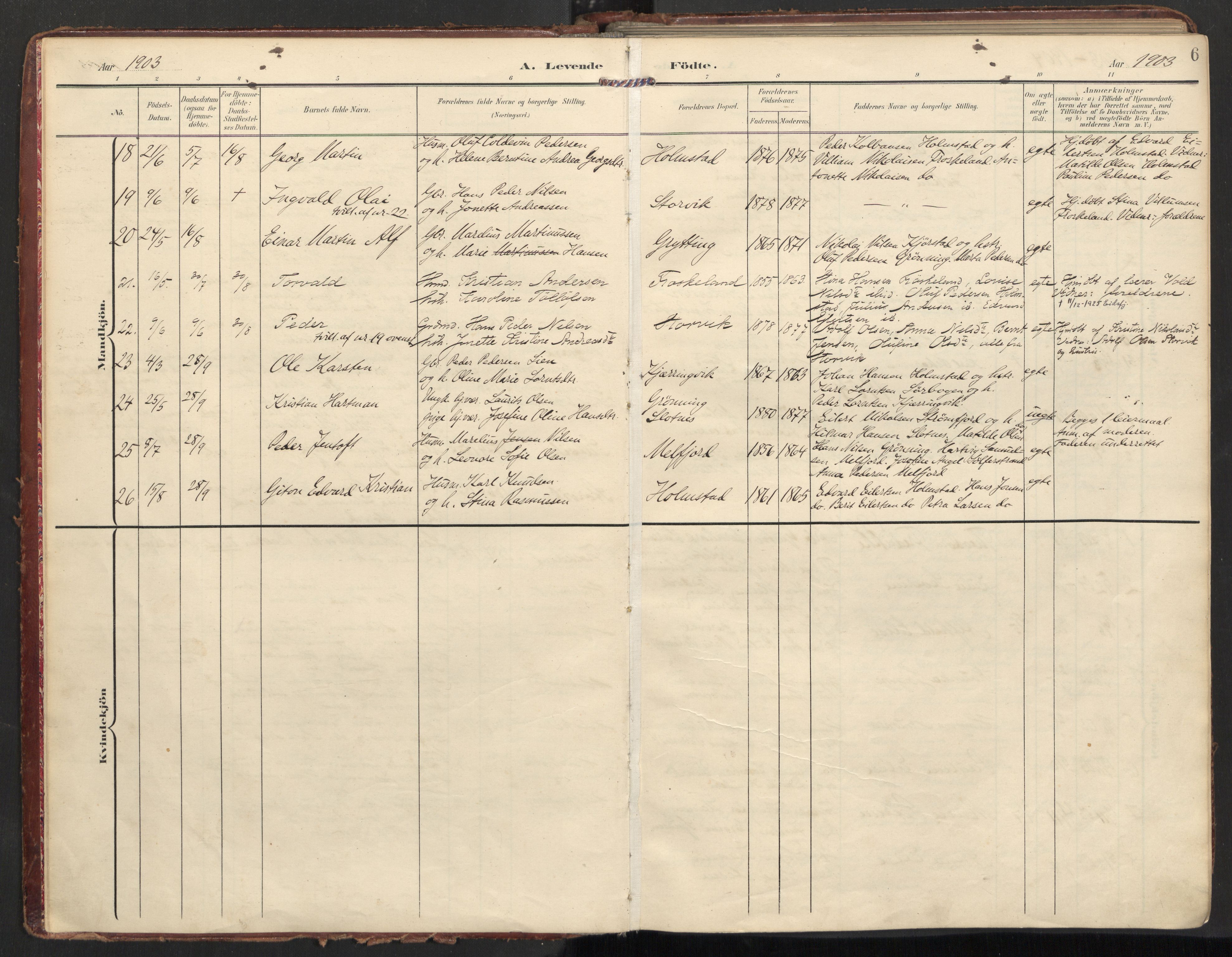 Ministerialprotokoller, klokkerbøker og fødselsregistre - Nordland, SAT/A-1459/890/L1287: Parish register (official) no. 890A02, 1903-1915, p. 6
