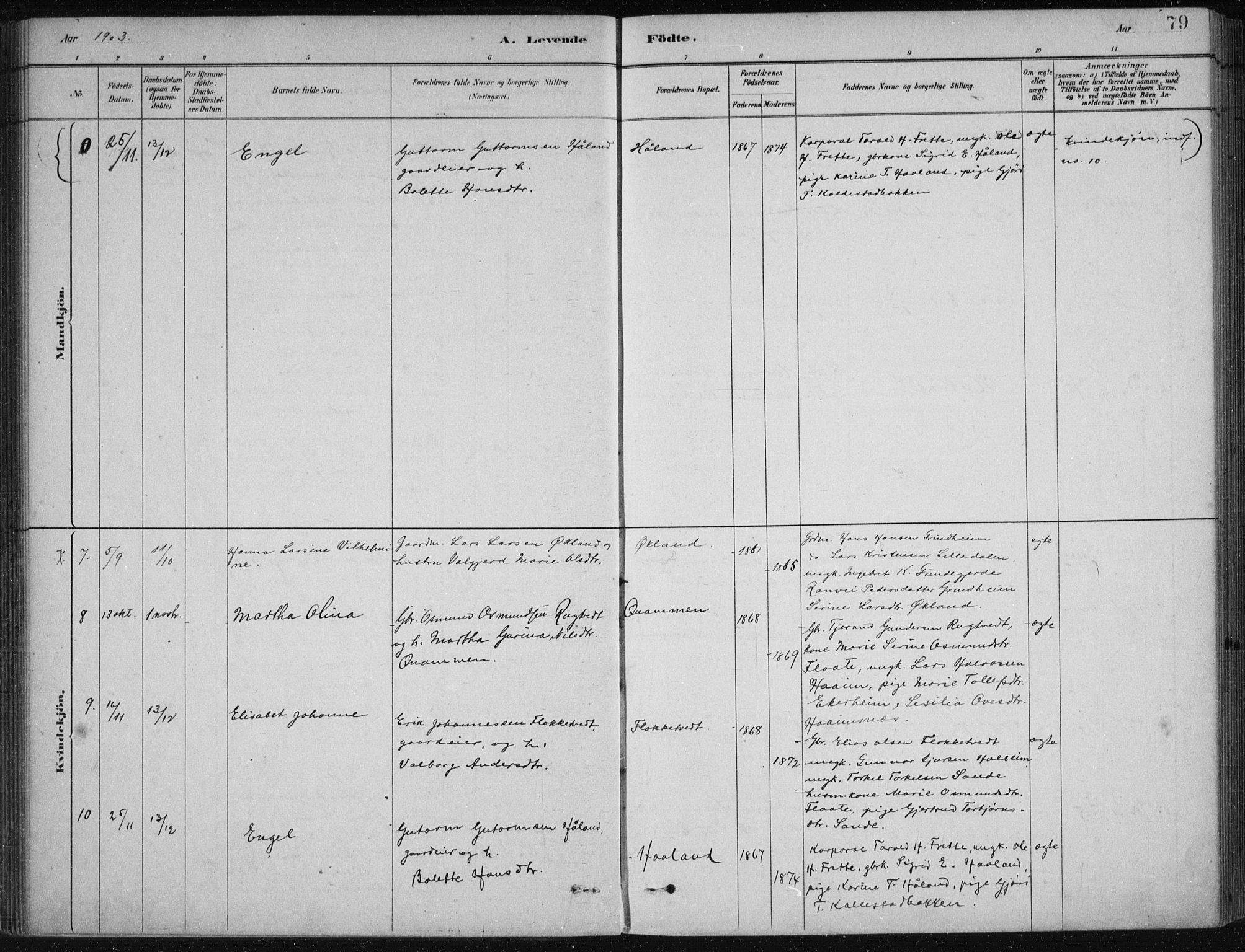 Etne sokneprestembete, AV/SAB-A-75001/H/Haa: Parish register (official) no. D  1, 1879-1919, p. 79