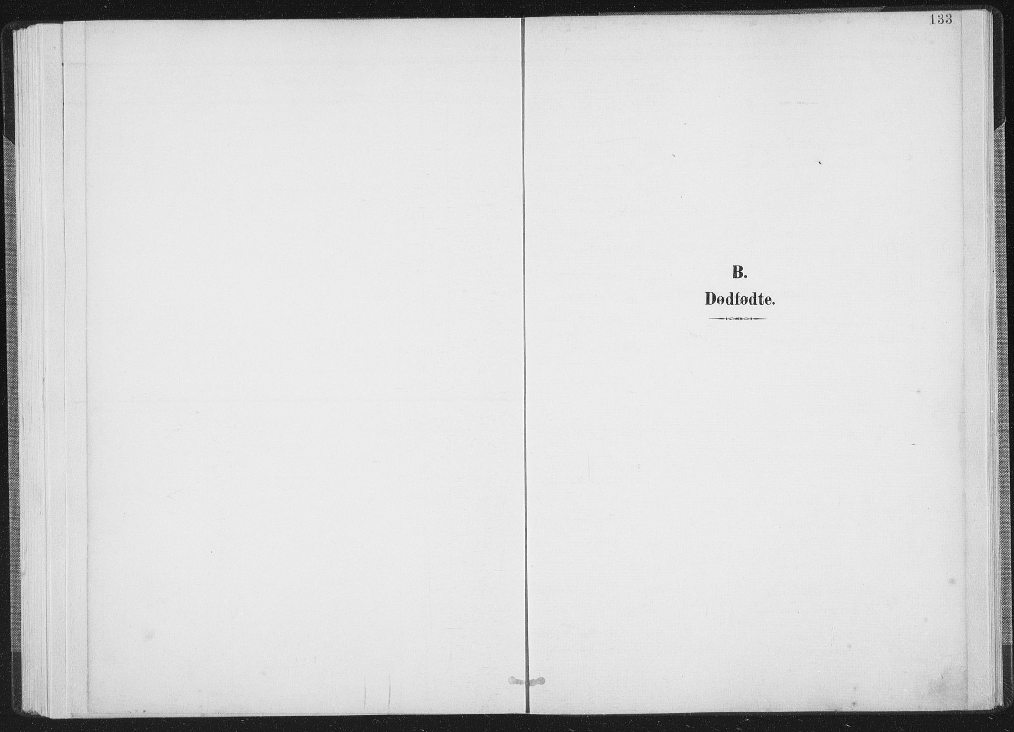 Ministerialprotokoller, klokkerbøker og fødselsregistre - Nordland, AV/SAT-A-1459/805/L0102: Parish register (official) no. 805A08I, 1900-1909, p. 133