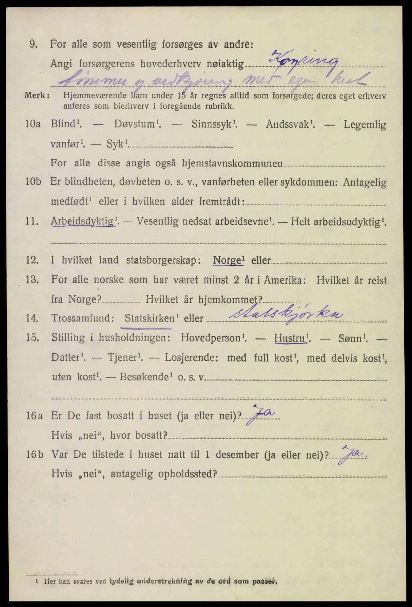 SAK, 1920 census for Hornnes, 1920, p. 1338