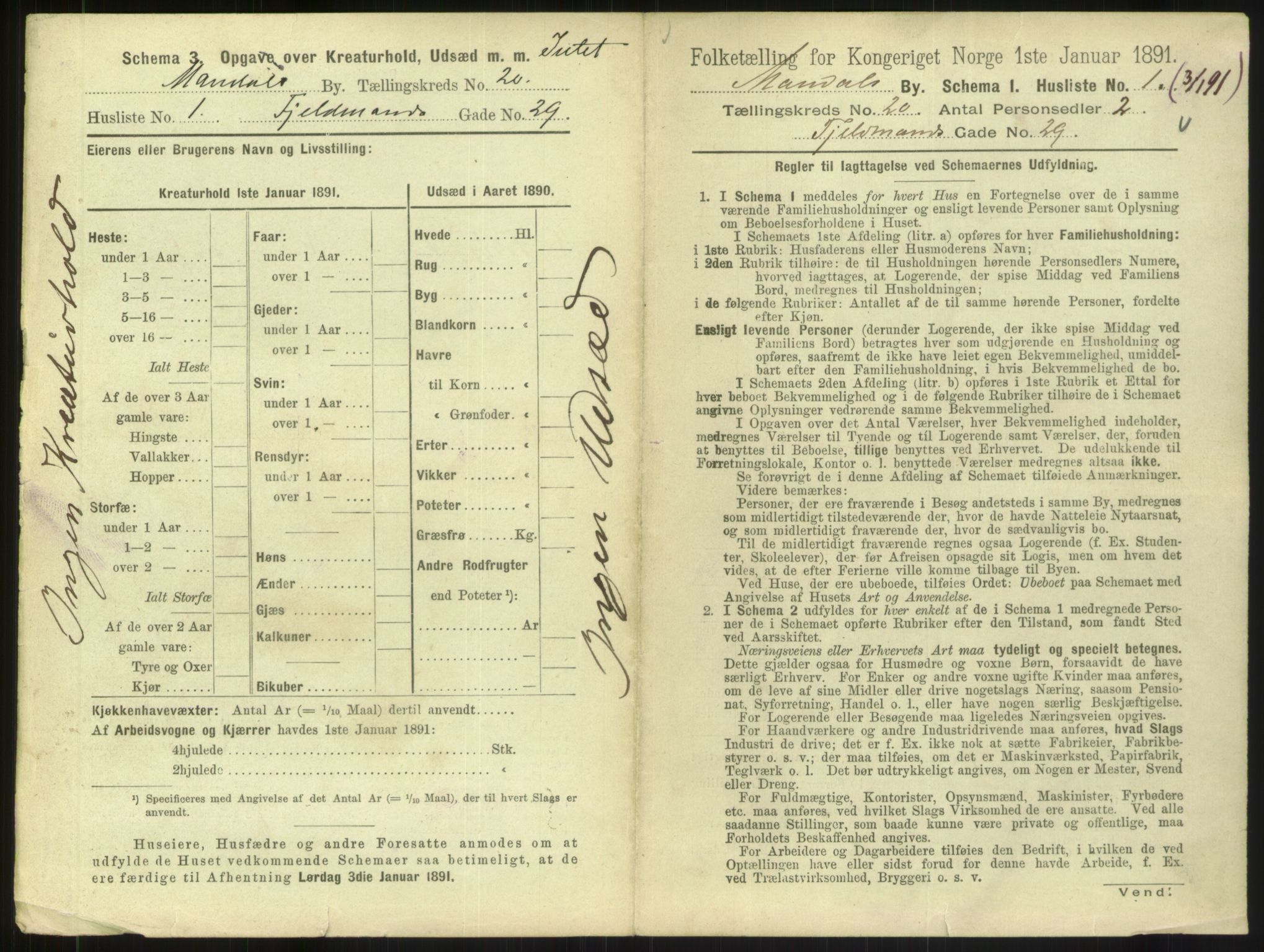 RA, 1891 census for 1002 Mandal, 1891, p. 897