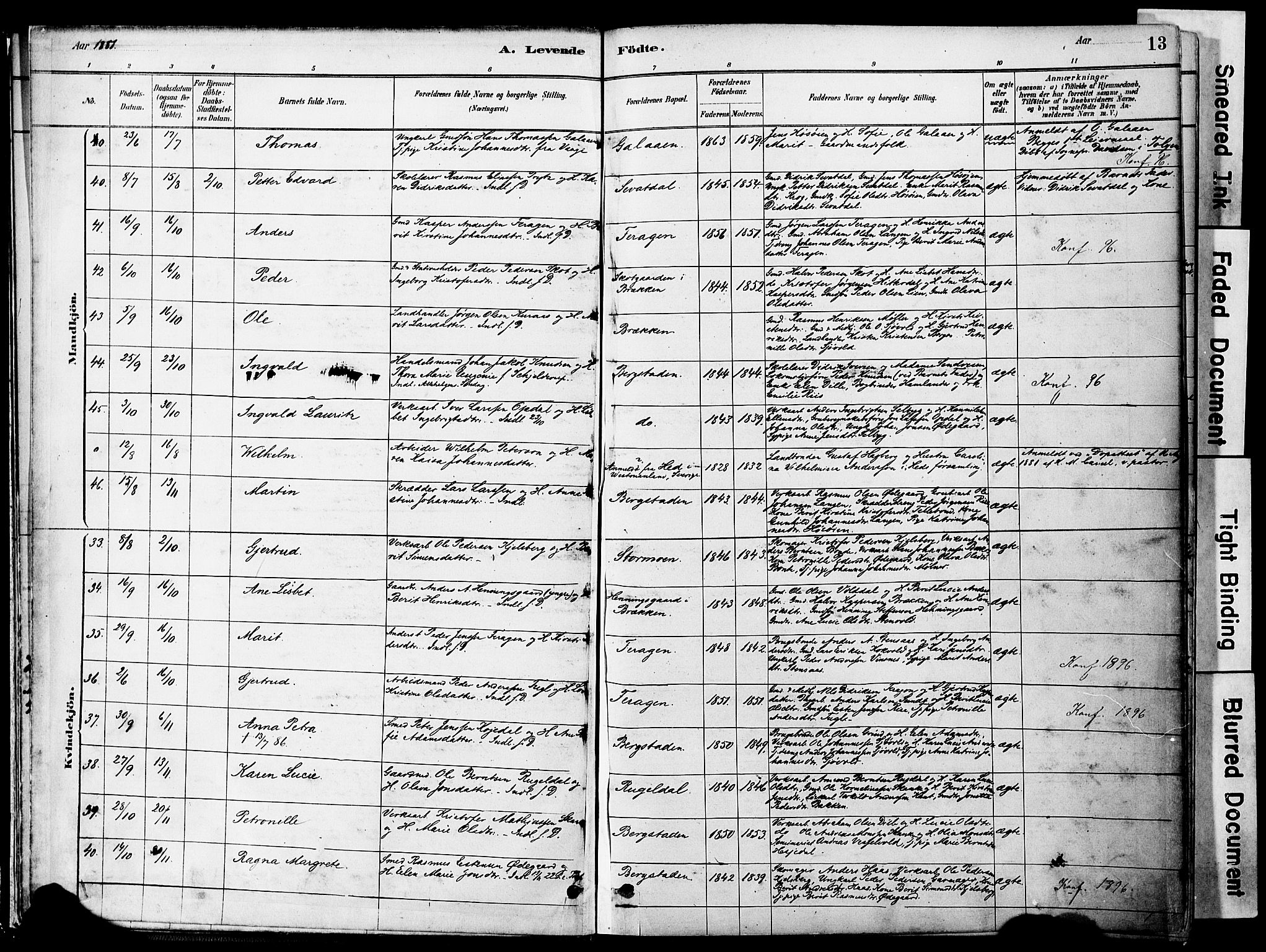 Ministerialprotokoller, klokkerbøker og fødselsregistre - Sør-Trøndelag, SAT/A-1456/681/L0933: Parish register (official) no. 681A11, 1879-1890, p. 13