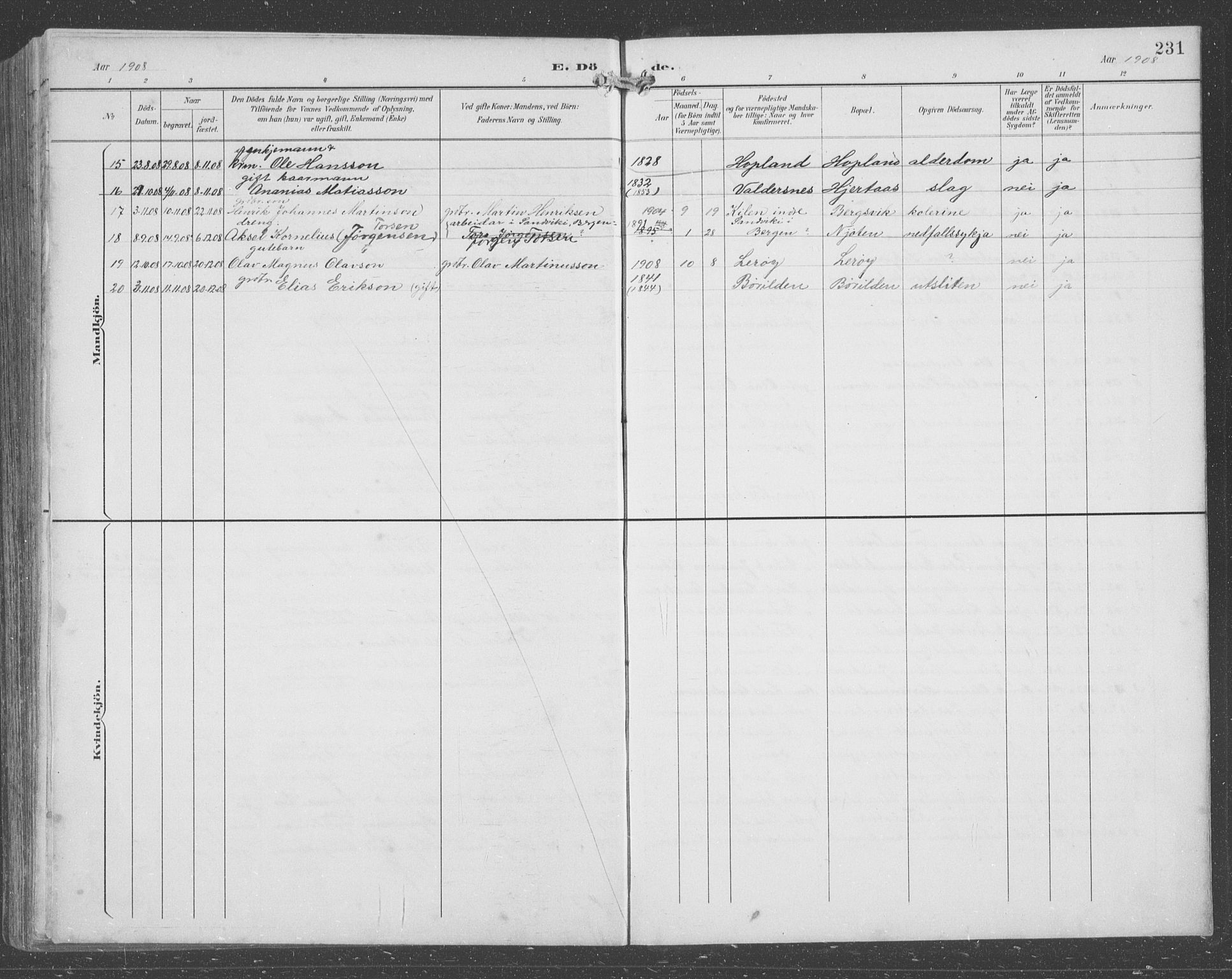 Lindås Sokneprestembete, SAB/A-76701/H/Hab: Parish register (copy) no. C 4, 1894-1910, p. 231