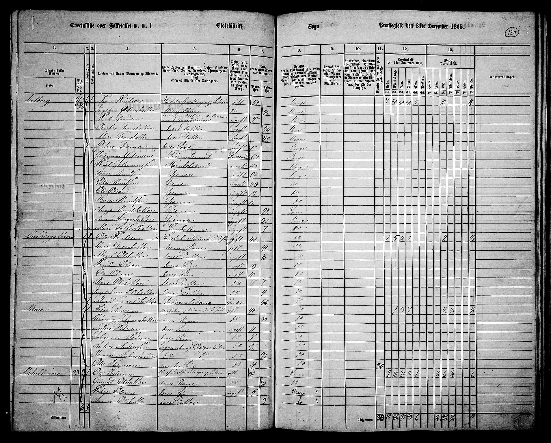 RA, 1865 census for Vågå, 1865, p. 110