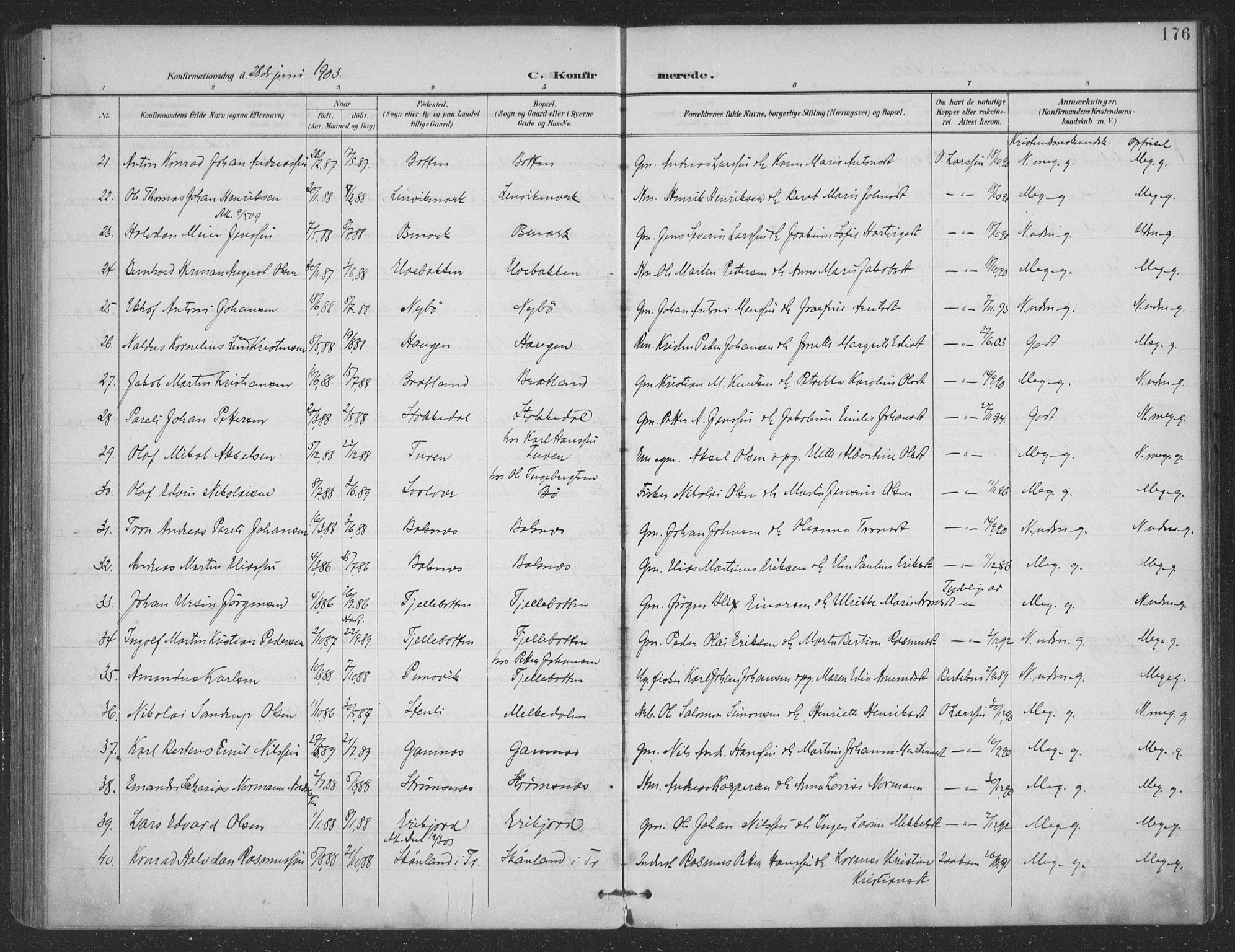 Ministerialprotokoller, klokkerbøker og fødselsregistre - Nordland, SAT/A-1459/863/L0899: Parish register (official) no. 863A11, 1897-1906, p. 176