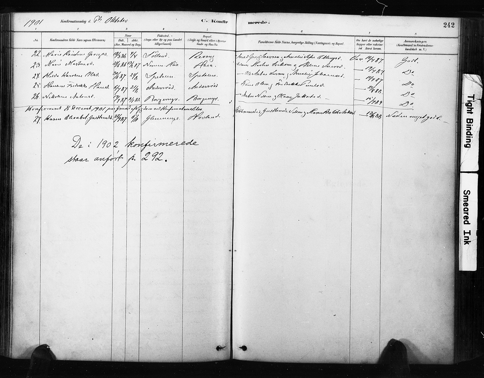 Råde prestekontor kirkebøker, AV/SAO-A-2009/F/Fa/L0007: Parish register (official) no. 7, 1878-1902, p. 242