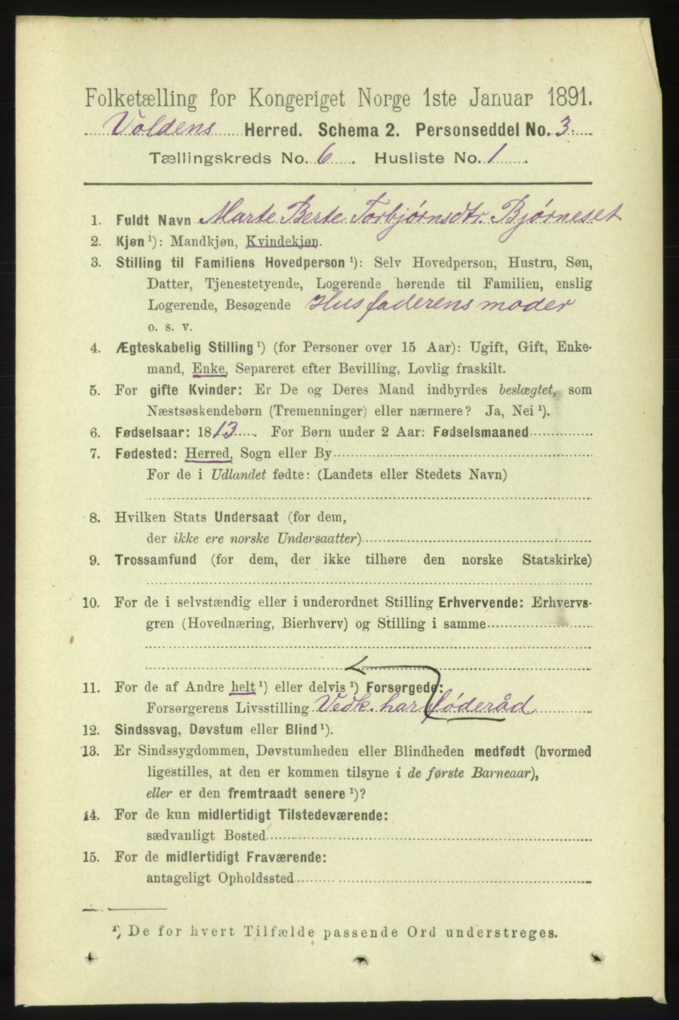 RA, 1891 census for 1519 Volda, 1891, p. 2865