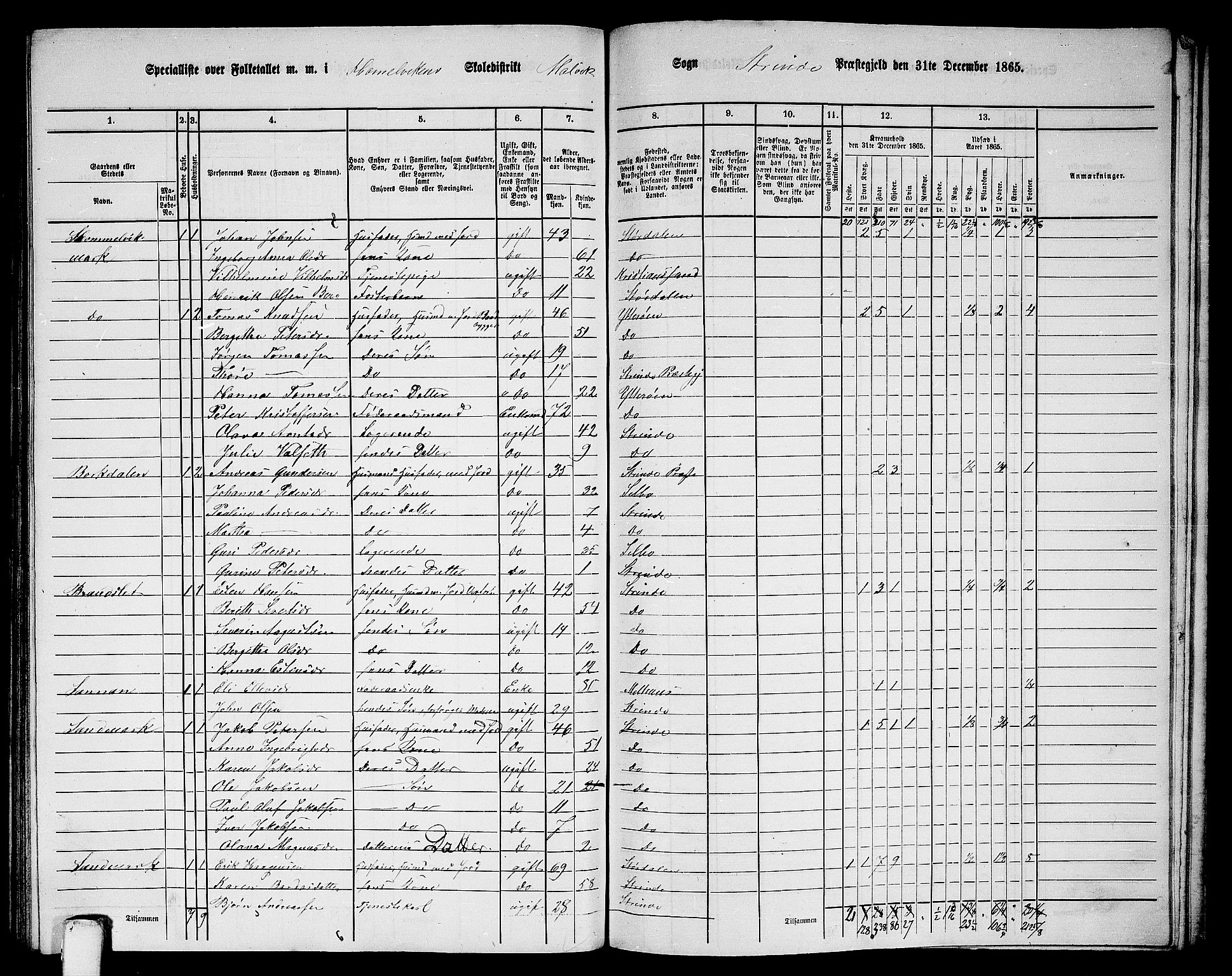 RA, 1865 census for Strinda, 1865, p. 244