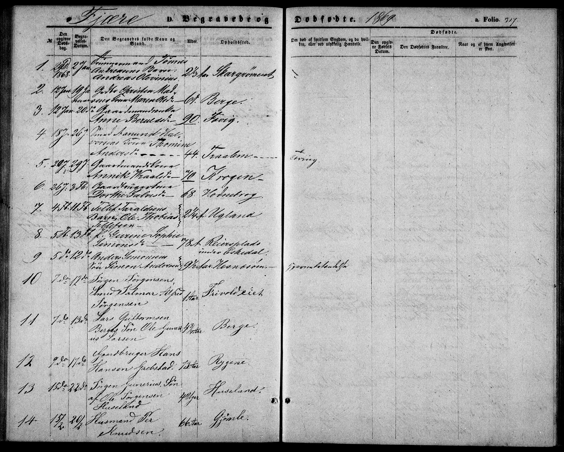 Fjære sokneprestkontor, SAK/1111-0011/F/Fb/L0009: Parish register (copy) no. B 9, 1867-1870, p. 317