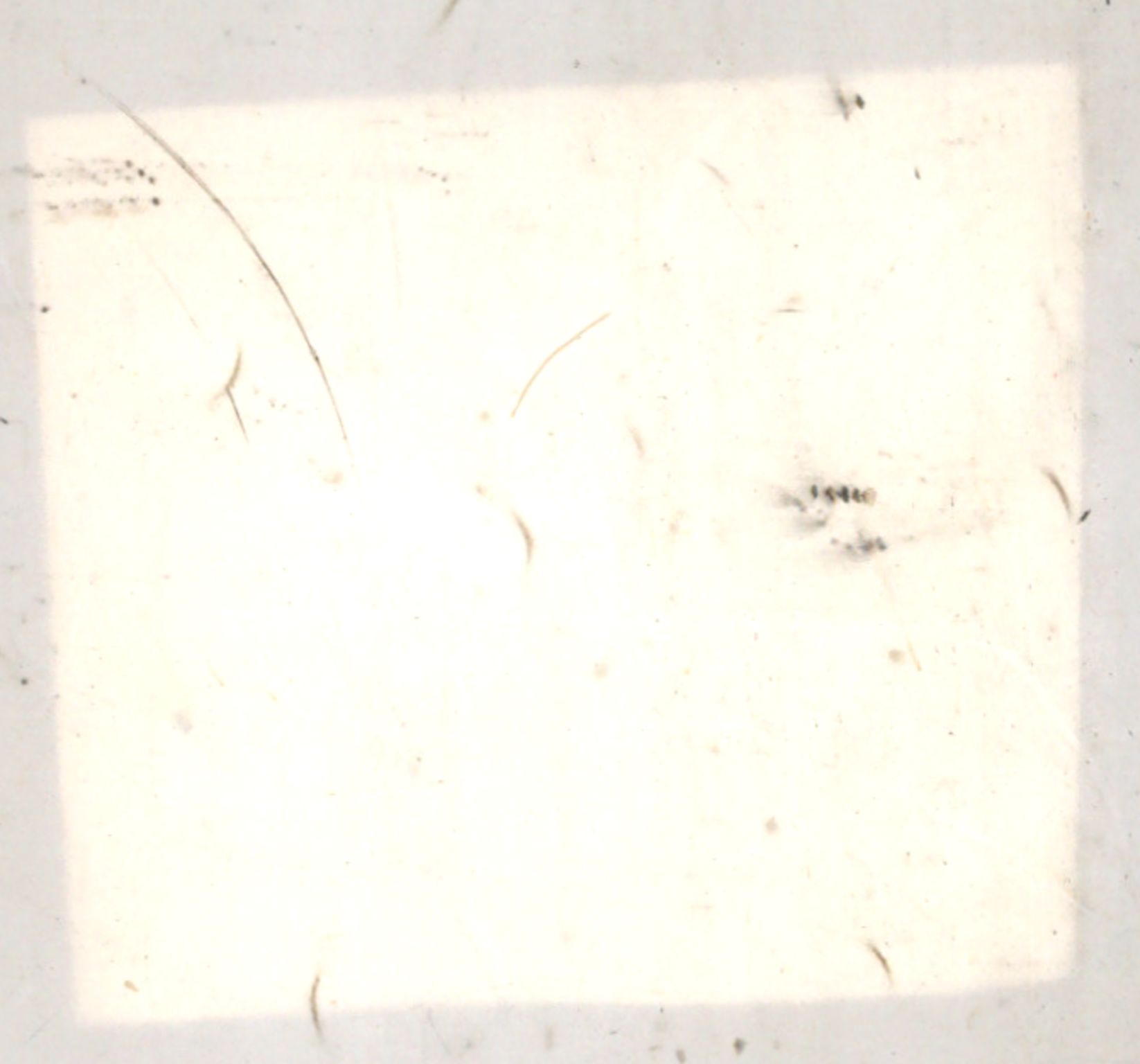 Møre og Romsdal vegkontor - Ålesund trafikkstasjon, AV/SAT-A-4099/F/Fe/L0044: Registreringskort for kjøretøy T 14205 - T 14319, 1927-1998, p. 829