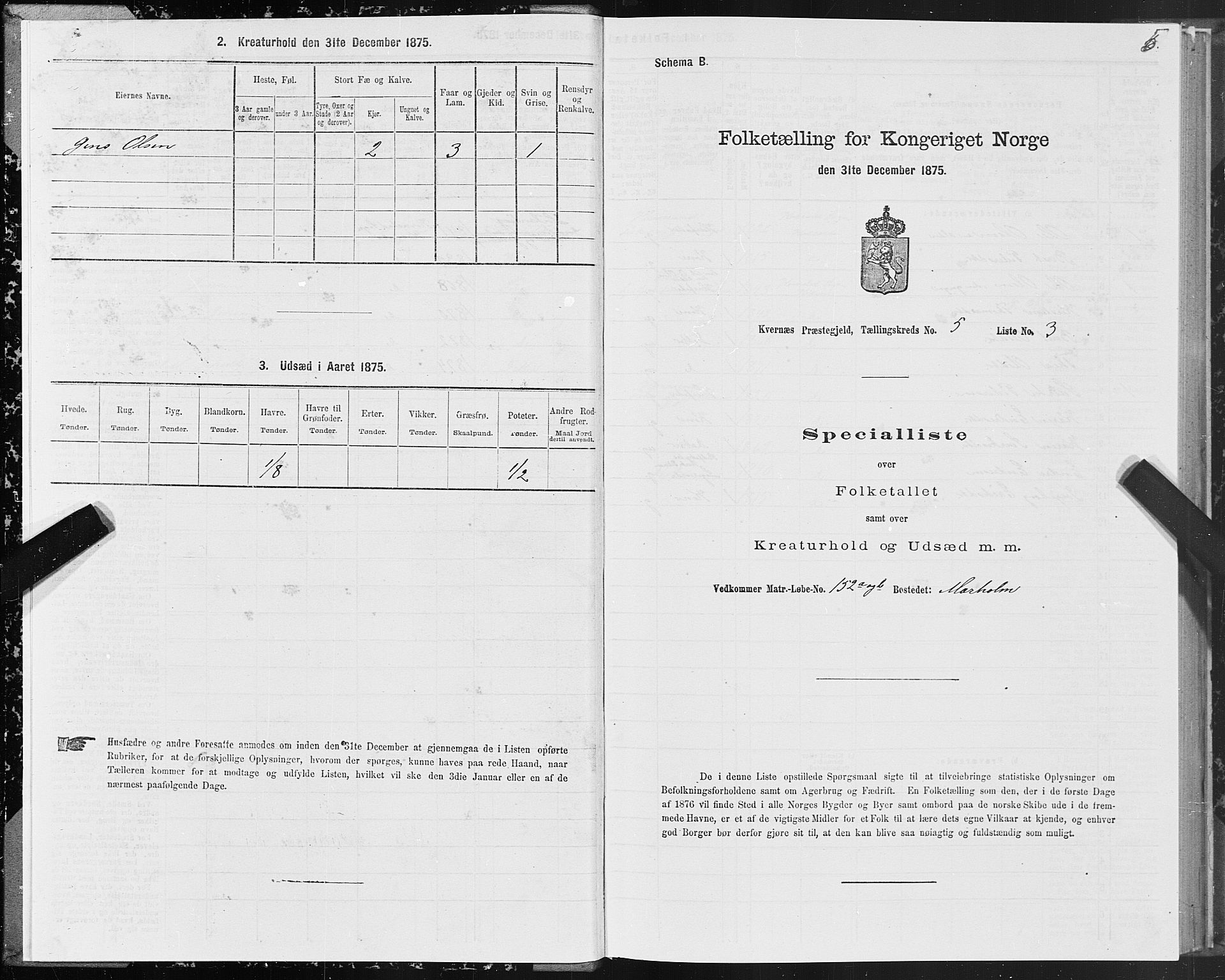 SAT, 1875 census for 1553P Kvernes, 1875, p. 3005