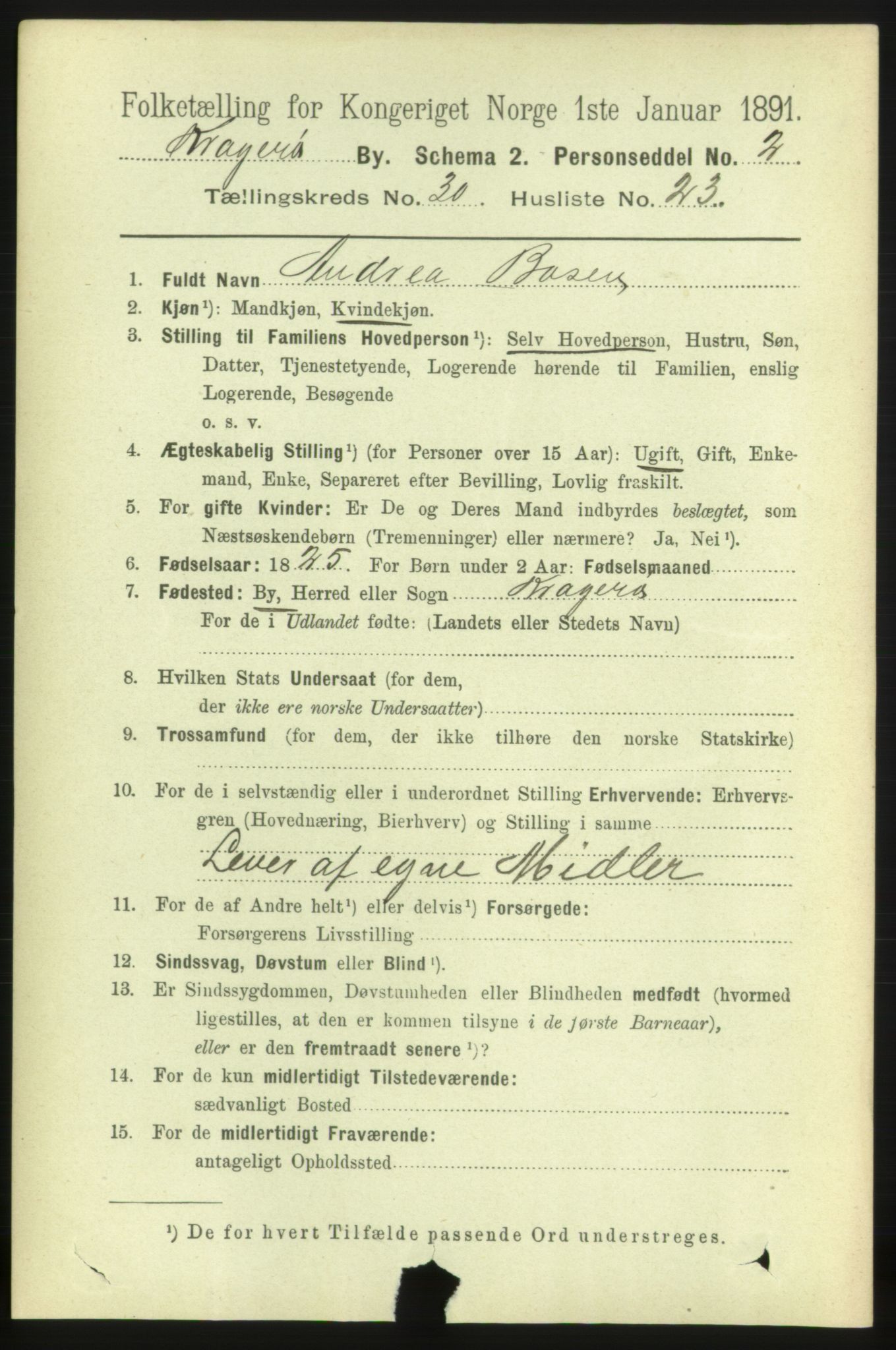 RA, 1891 census for 0801 Kragerø, 1891, p. 5705