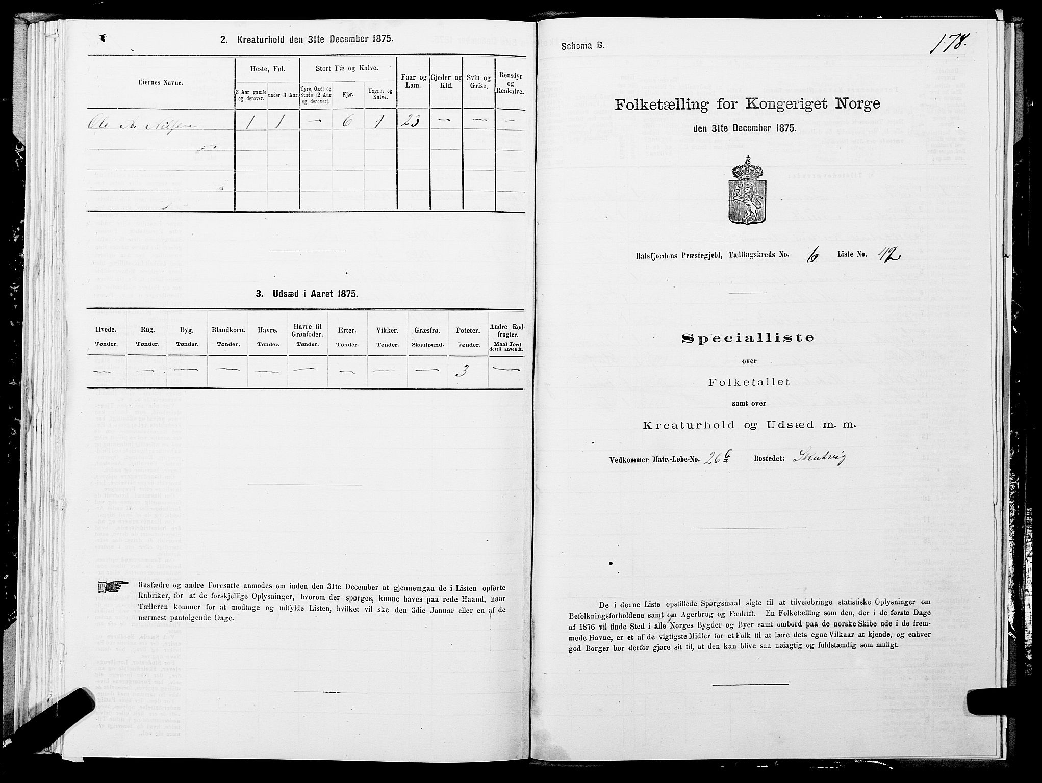 SATØ, 1875 census for 1933P Balsfjord, 1875, p. 3178