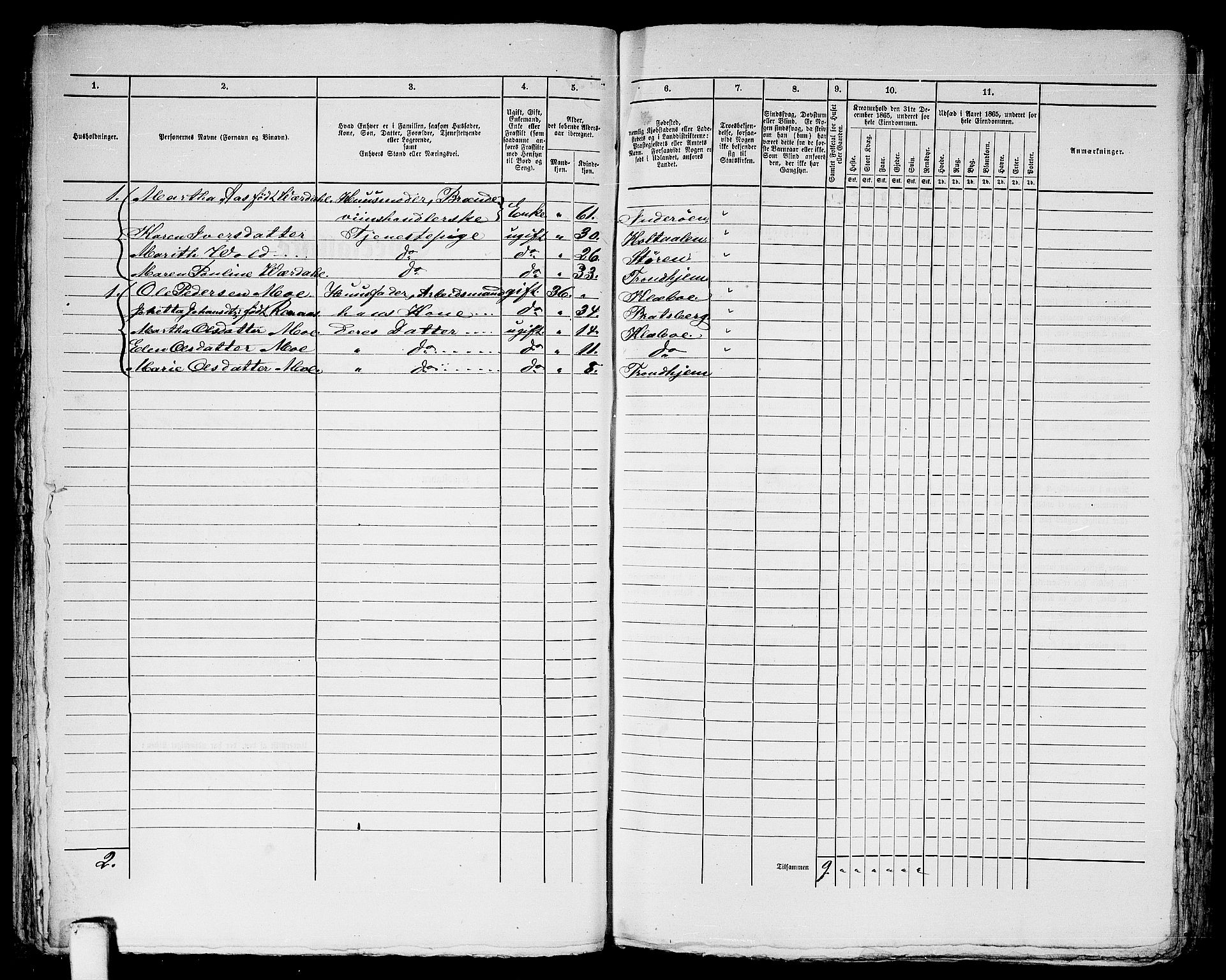 RA, 1865 census for Trondheim, 1865, p. 1203