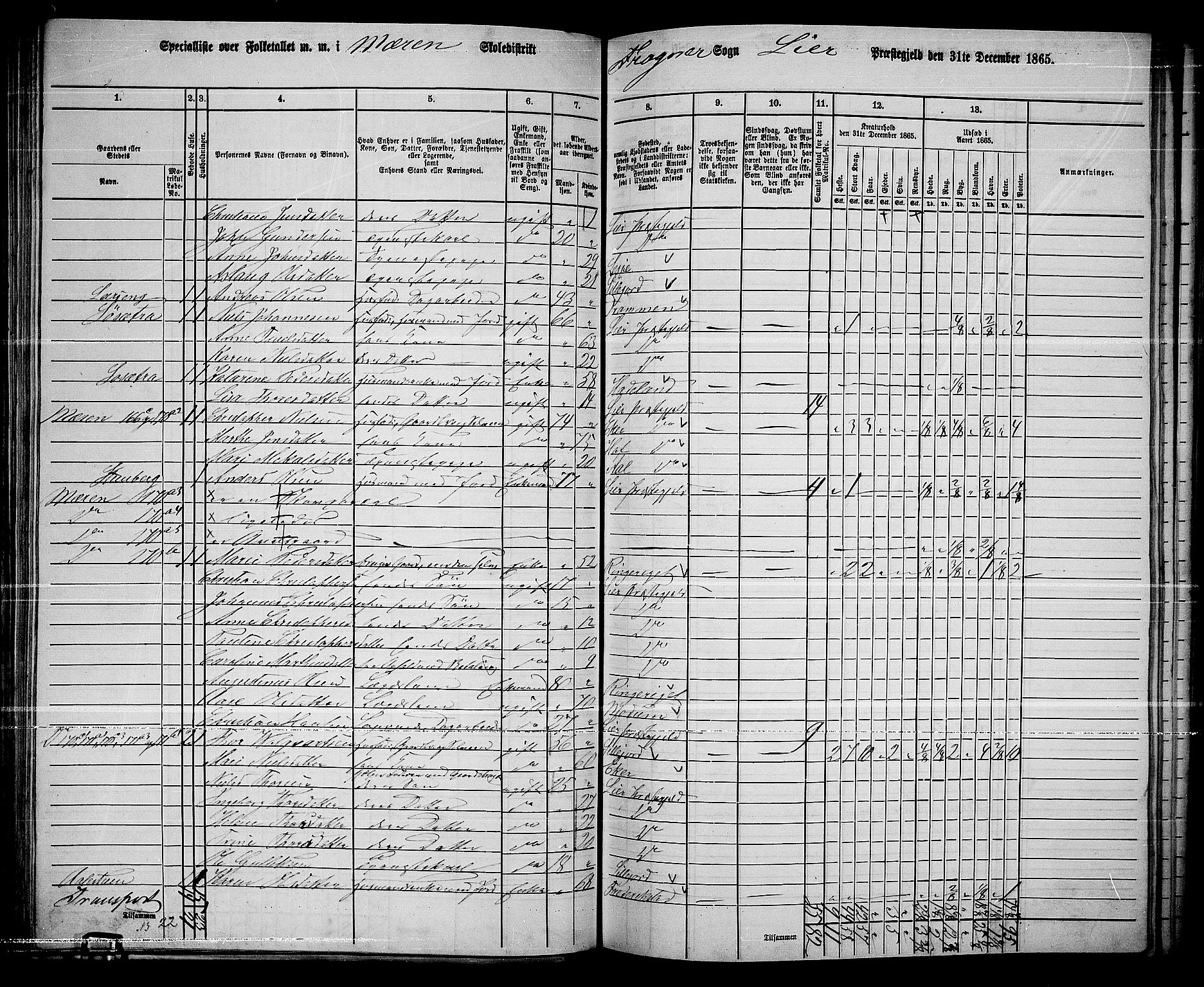 RA, 1865 census for Lier, 1865, p. 97