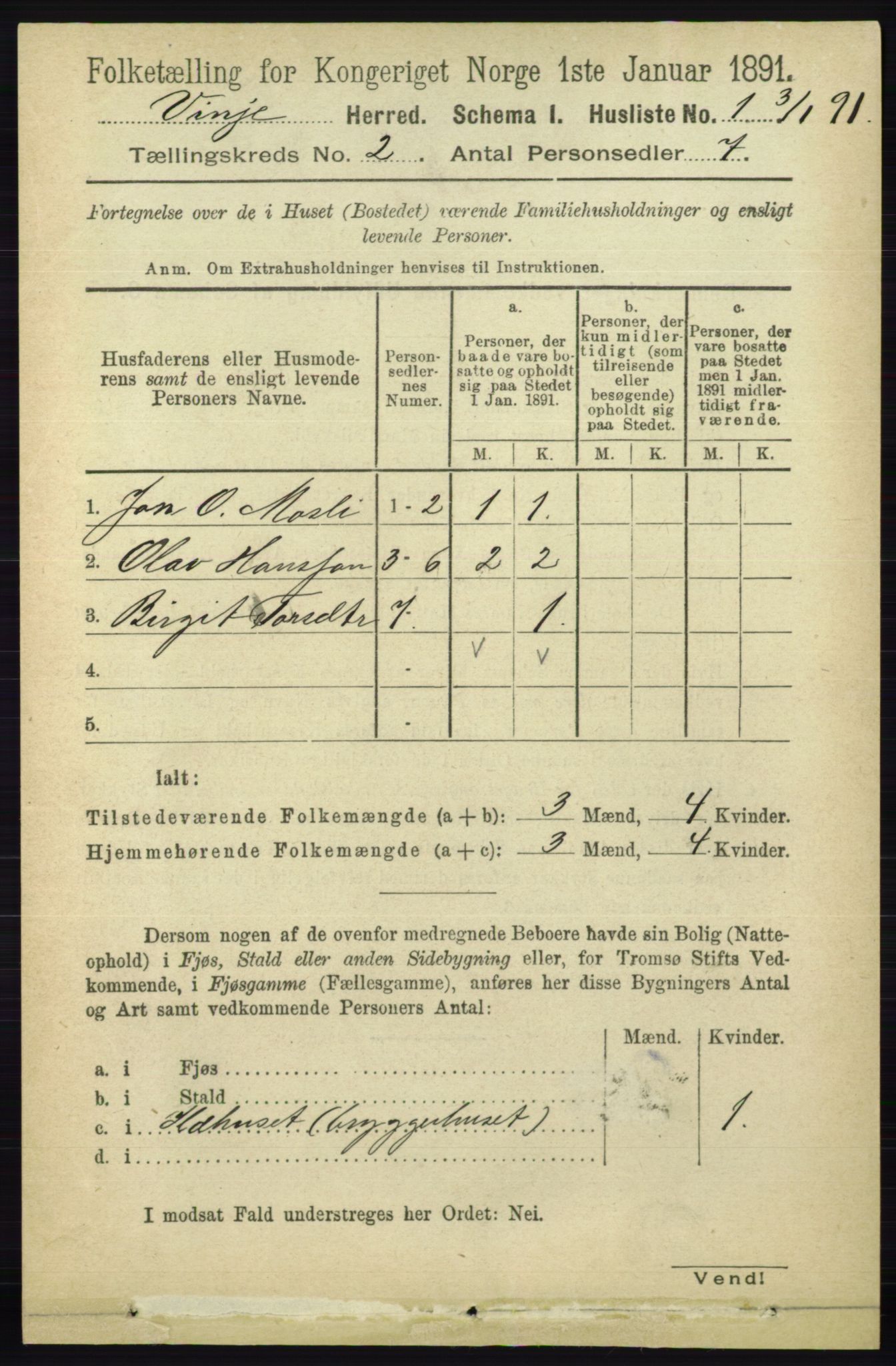 RA, 1891 census for 0834 Vinje, 1891, p. 318