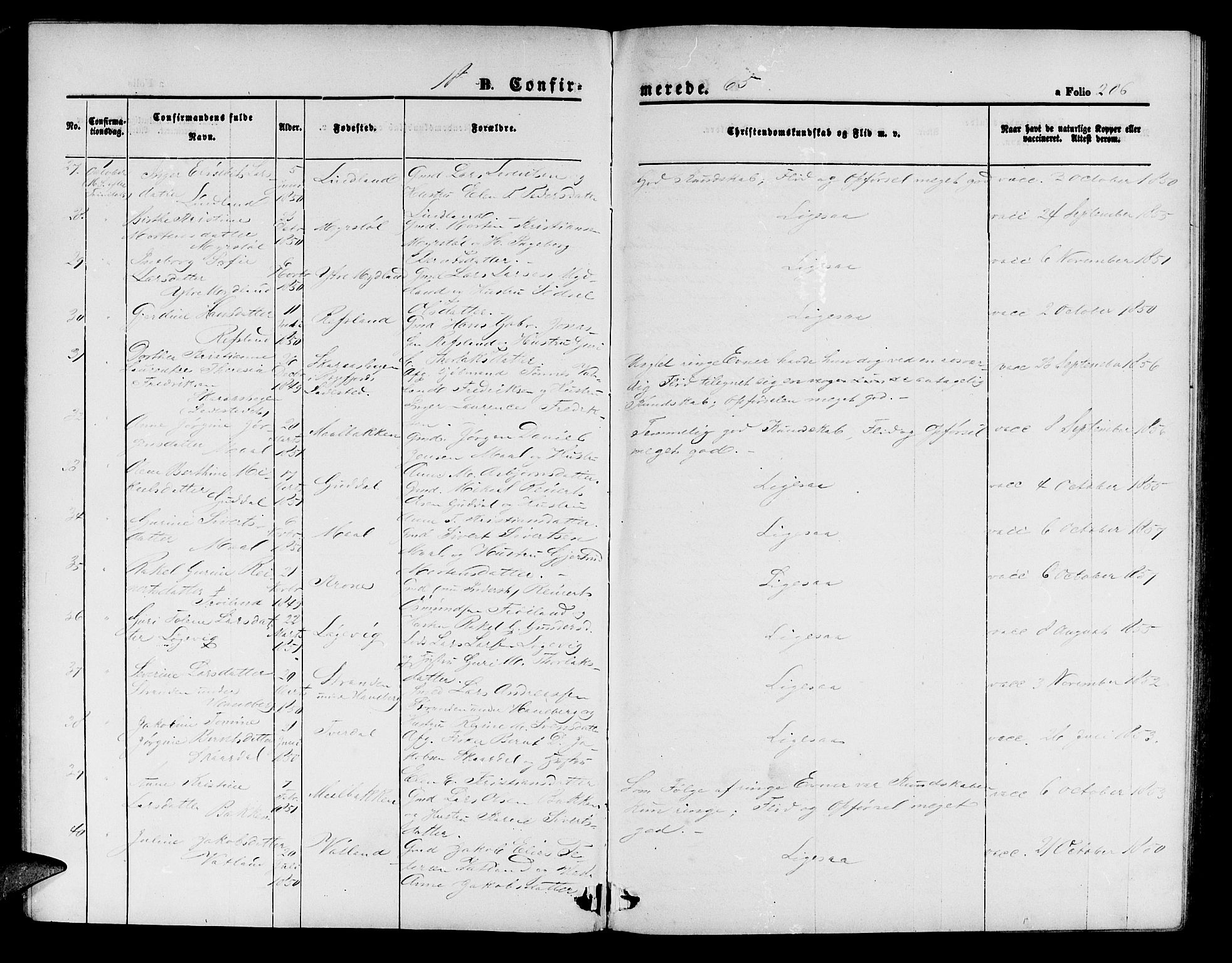 Sokndal sokneprestkontor, SAST/A-101808: Parish register (copy) no. B 3, 1865-1879, p. 206