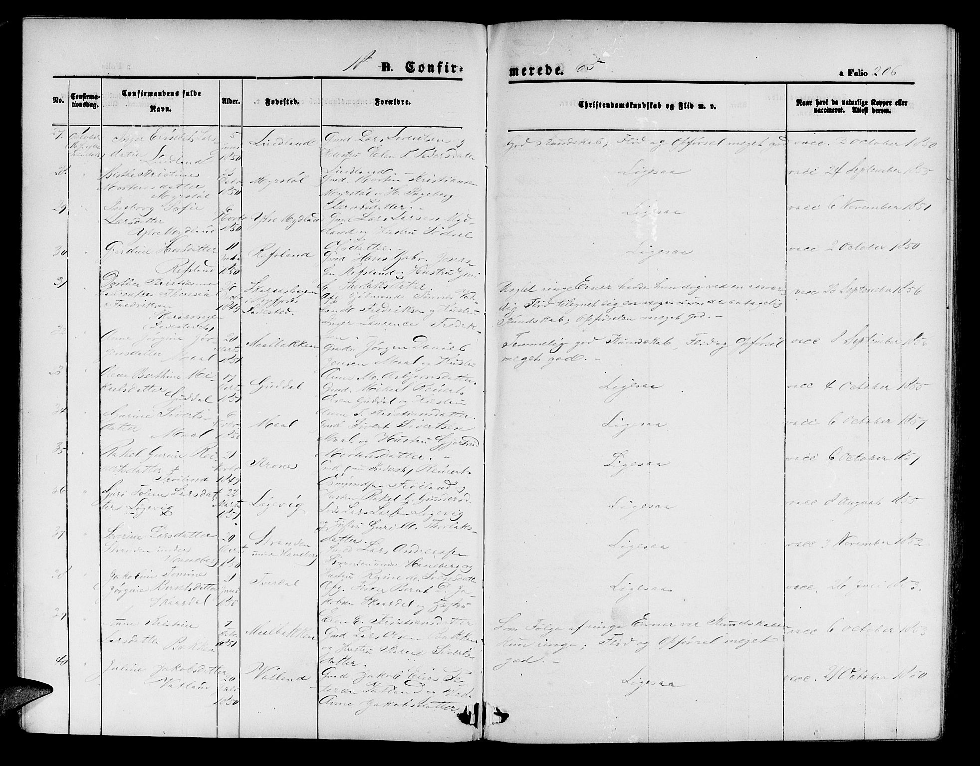 Sokndal sokneprestkontor, AV/SAST-A-101808: Parish register (copy) no. B 3, 1865-1879, p. 206