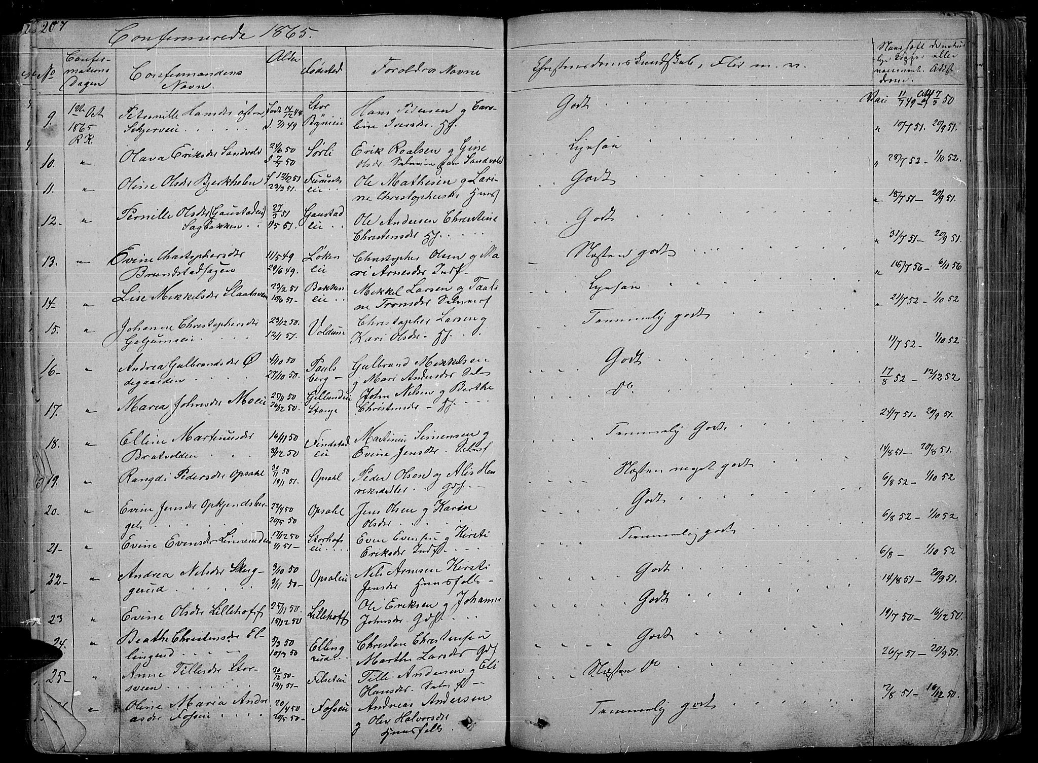 Romedal prestekontor, AV/SAH-PREST-004/L/L0009: Parish register (copy) no. 9, 1846-1866, p. 207