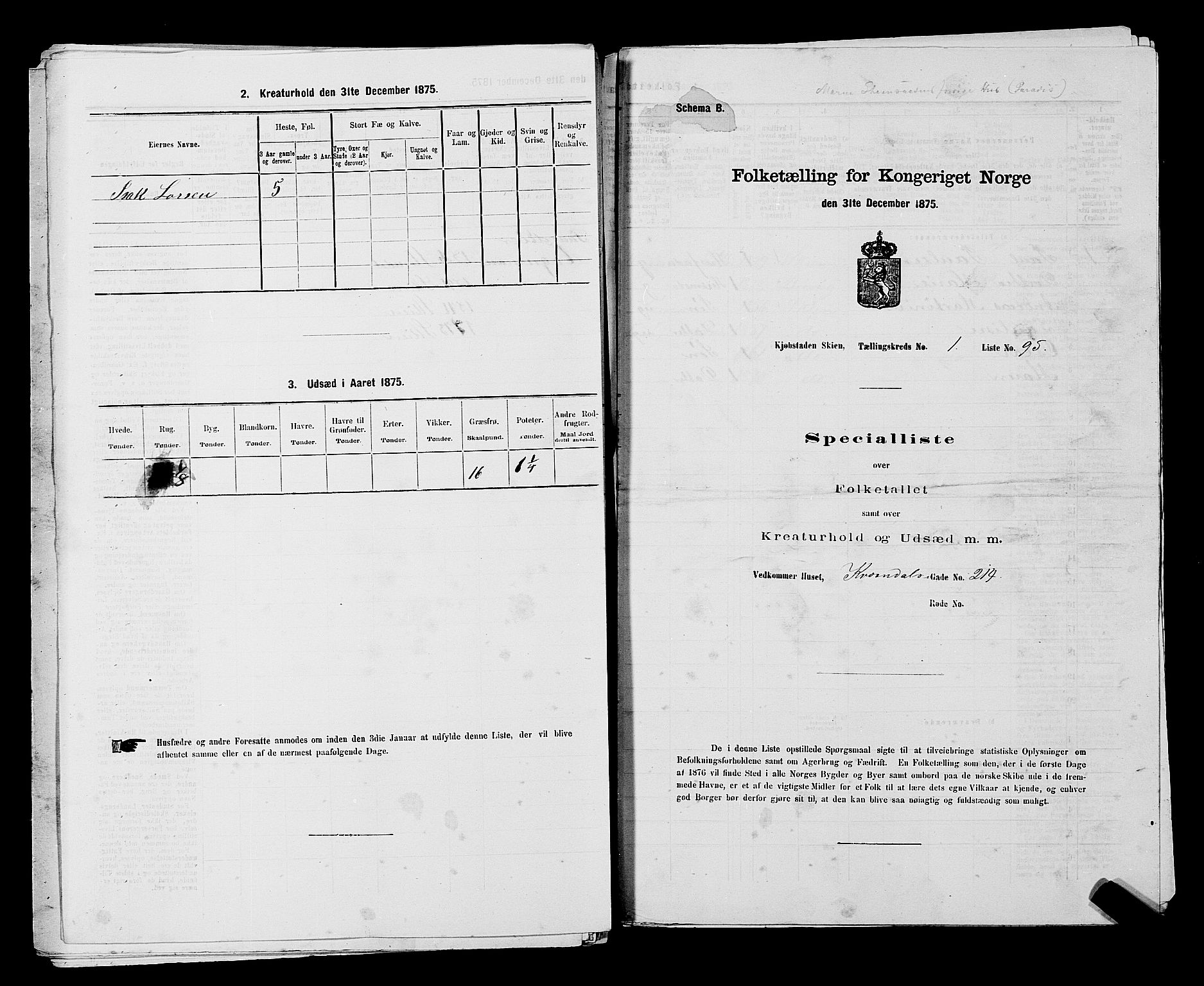 SAKO, 1875 census for 0806P Skien, 1875, p. 237