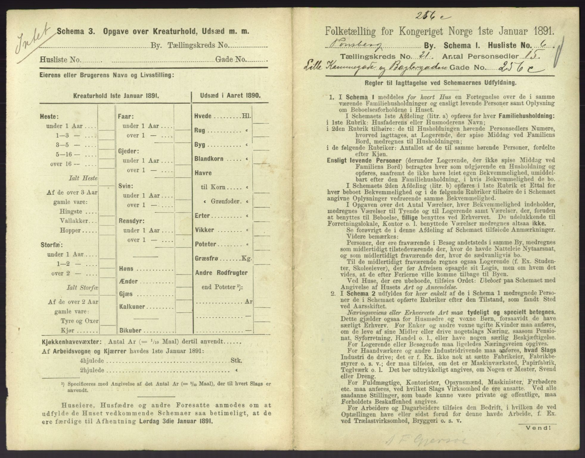 RA, 1891 census for 0705 Tønsberg, 1891, p. 716