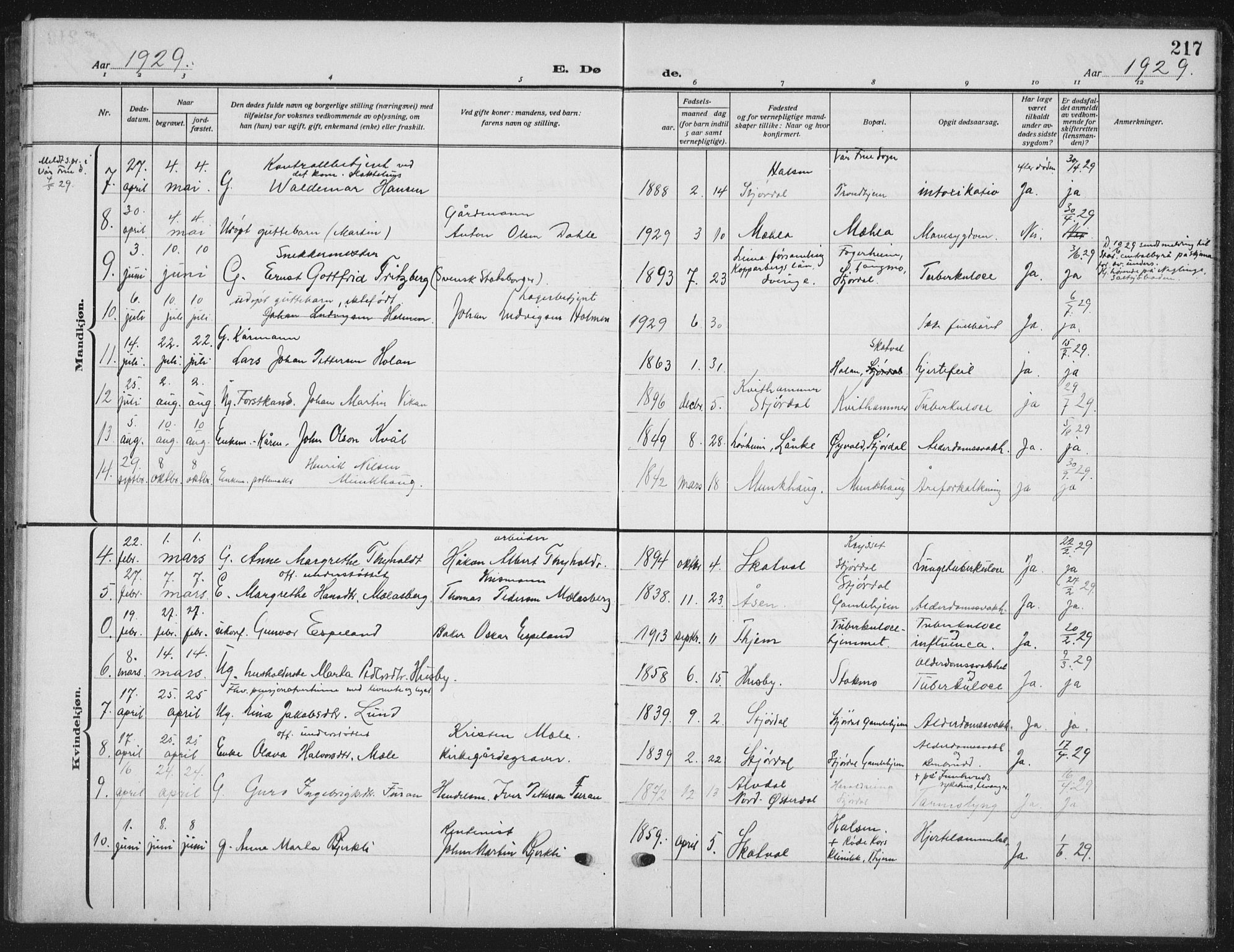 Ministerialprotokoller, klokkerbøker og fødselsregistre - Nord-Trøndelag, AV/SAT-A-1458/709/L0088: Parish register (copy) no. 709C02, 1914-1934, p. 217