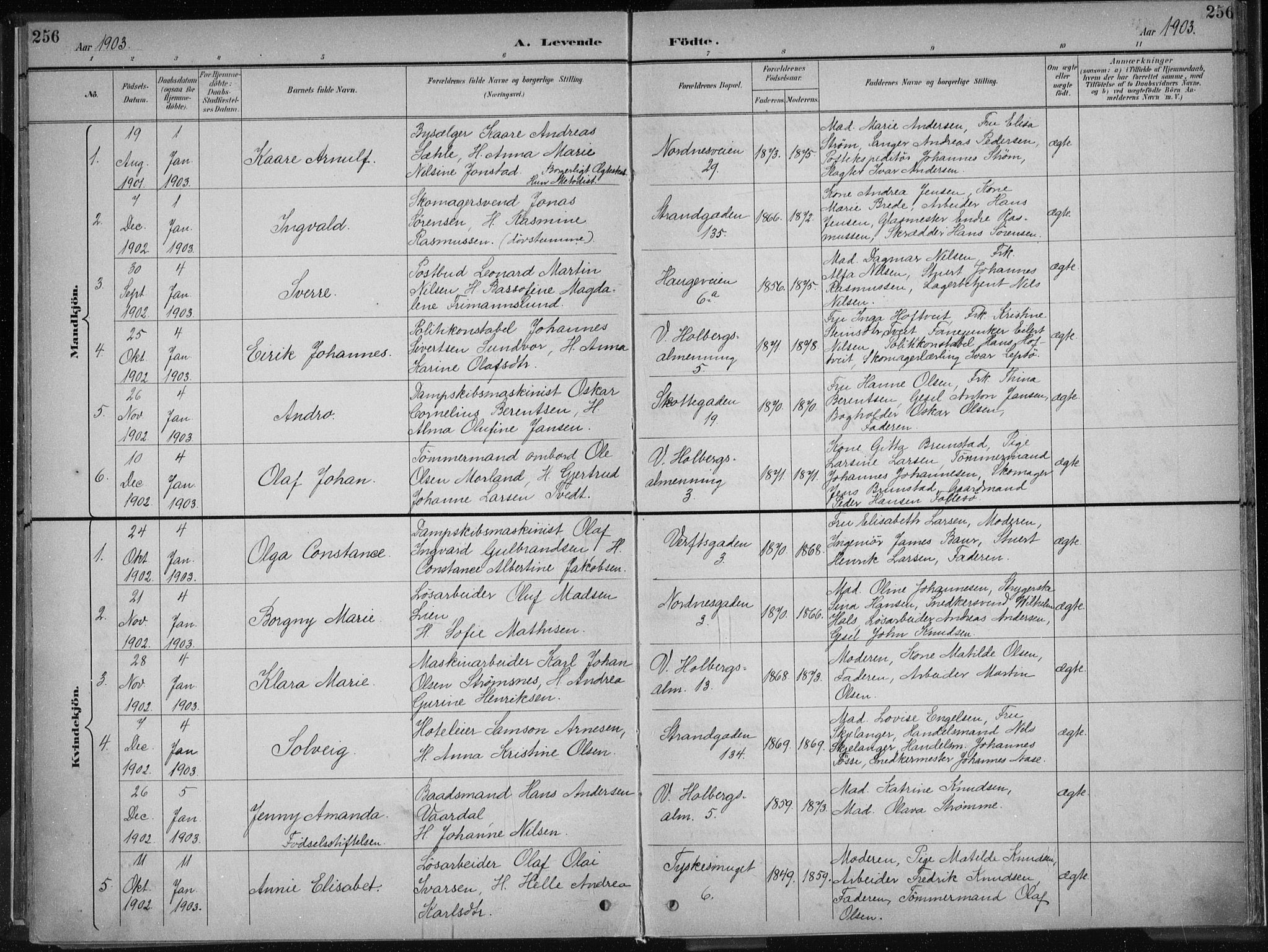 Nykirken Sokneprestembete, SAB/A-77101/H/Haa/L0018: Parish register (official) no. B 6, 1895-1903, p. 256