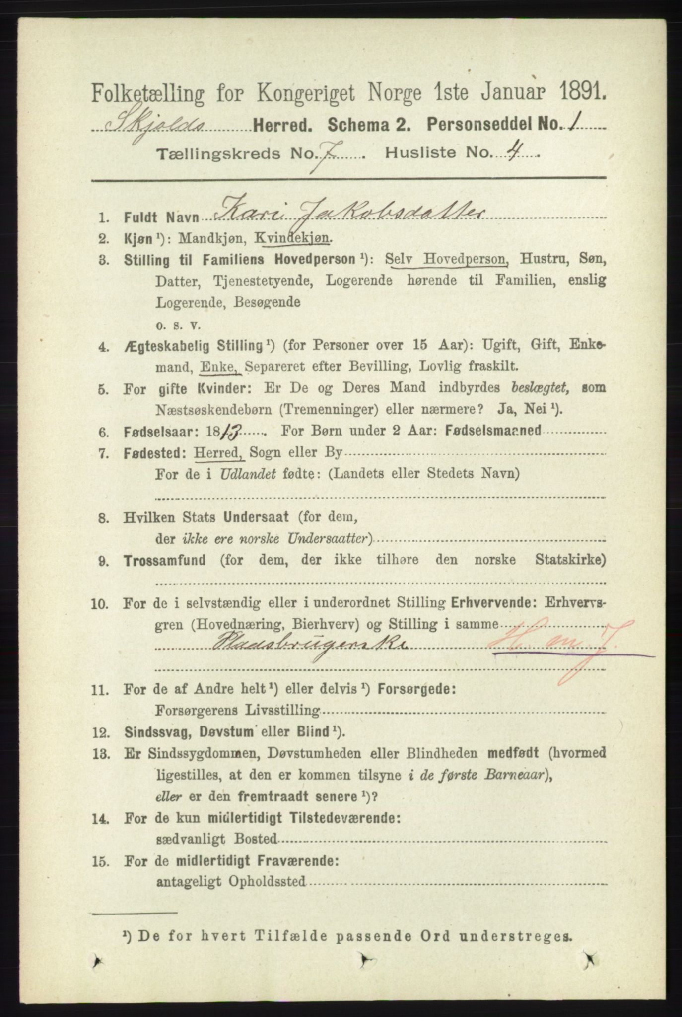 RA, 1891 census for 1154 Skjold, 1891, p. 1363