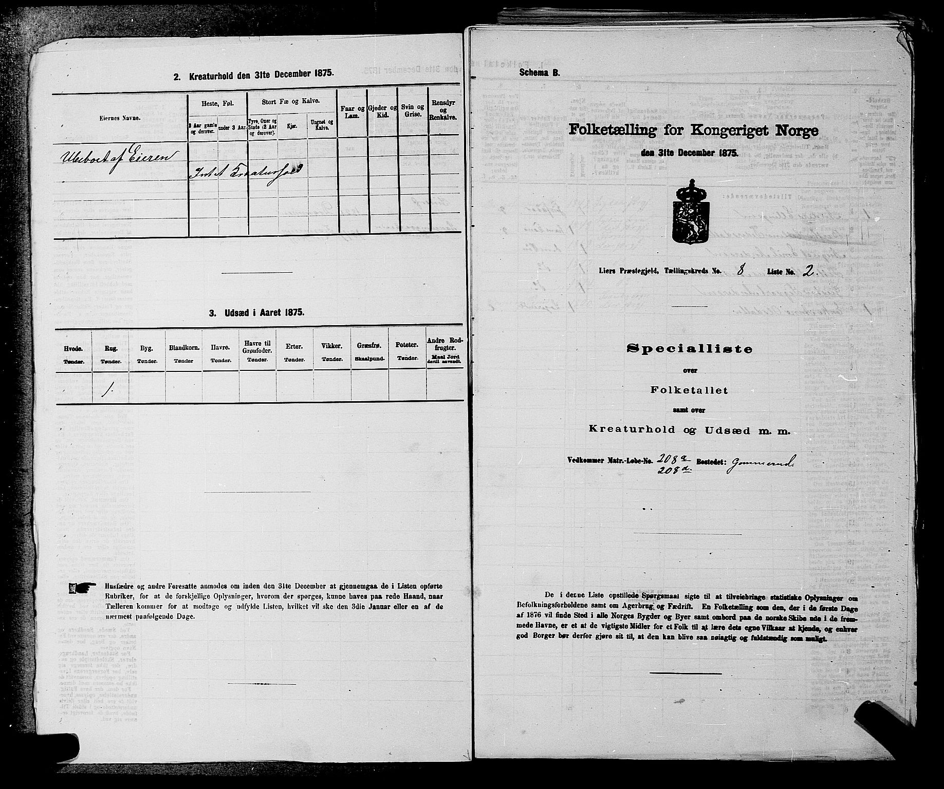 SAKO, 1875 census for 0626P Lier, 1875, p. 1307