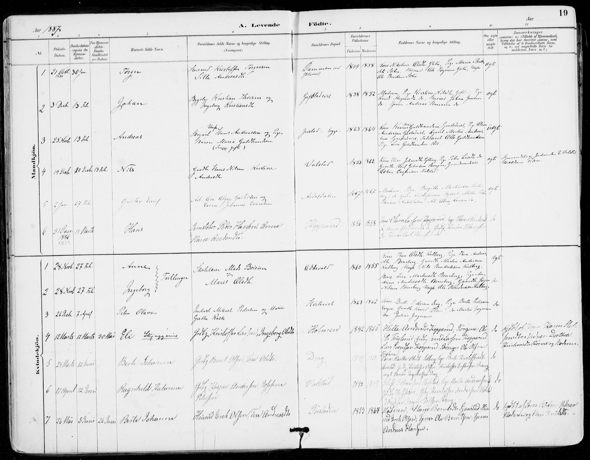 Sylling kirkebøker, SAKO/A-247/F/Fa/L0001: Parish register (official) no. 1, 1883-1910, p. 19