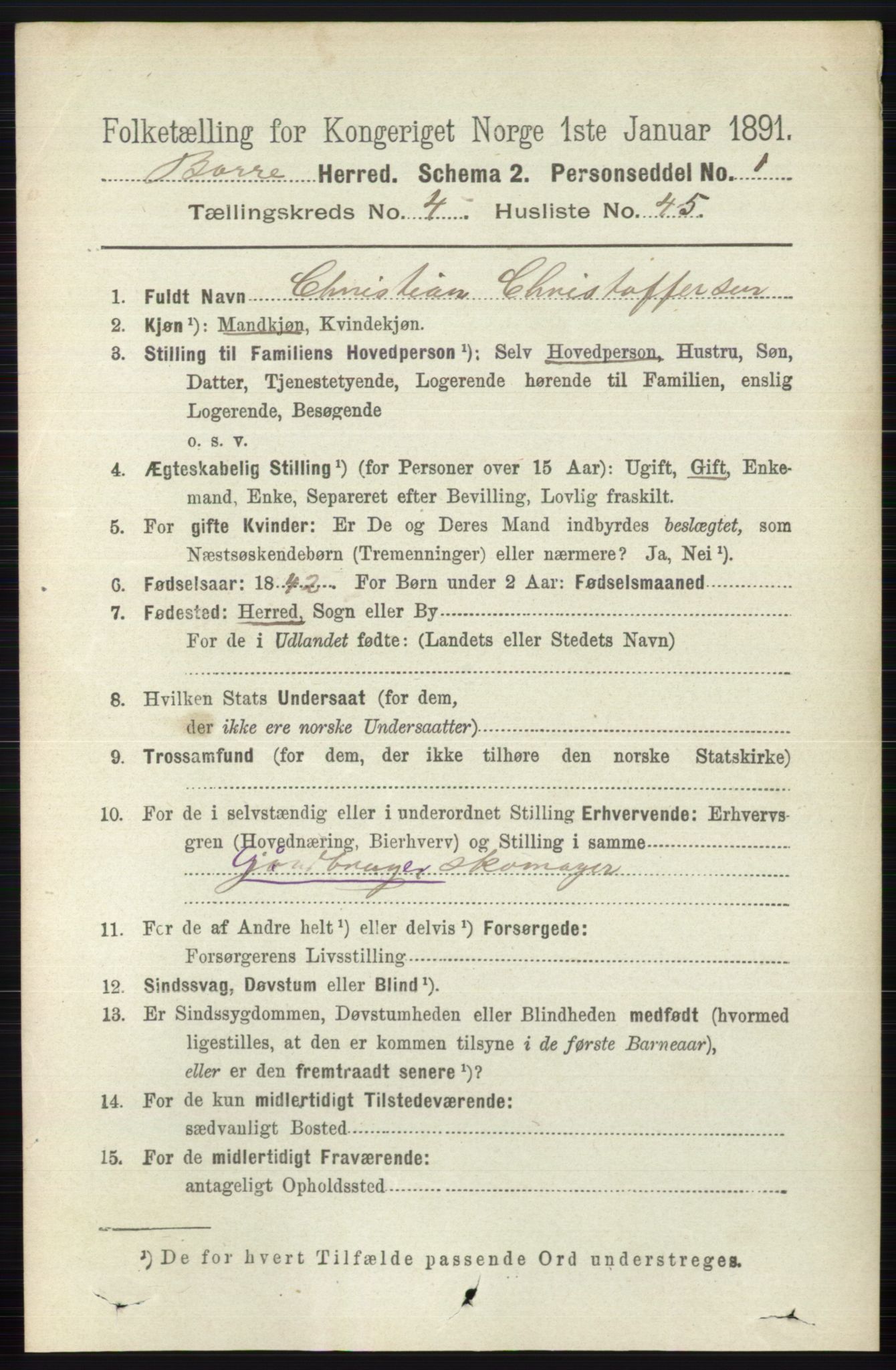 RA, 1891 census for 0717 Borre, 1891, p. 1905