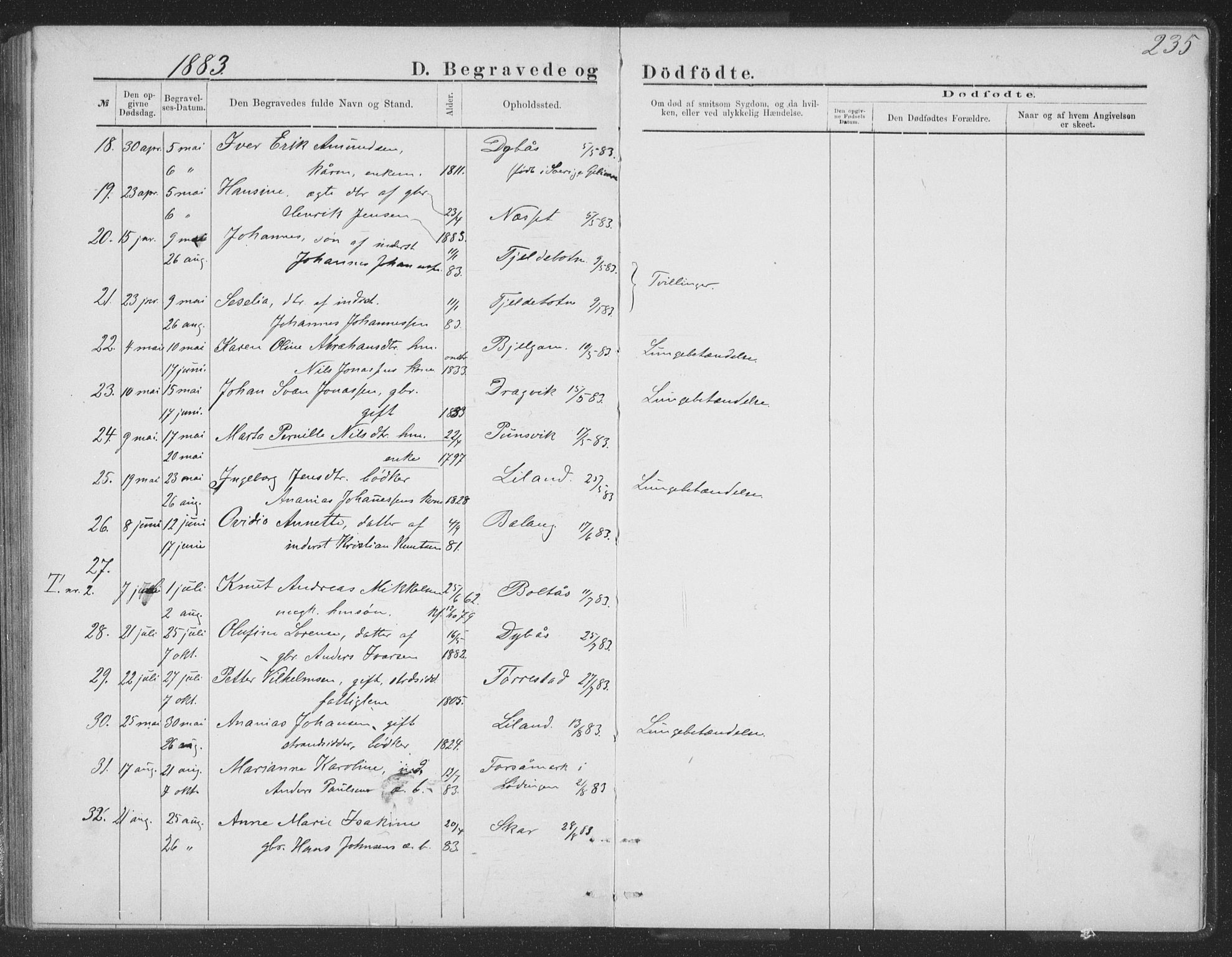 Ministerialprotokoller, klokkerbøker og fødselsregistre - Nordland, AV/SAT-A-1459/863/L0913: Parish register (copy) no. 863C03, 1877-1885, p. 235