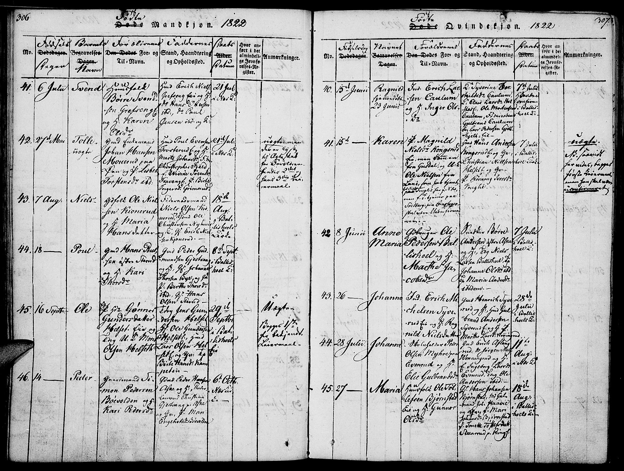 Nes prestekontor, Hedmark, AV/SAH-PREST-020/K/Ka/L0002: Parish register (official) no. 2, 1813-1827, p. 306-307