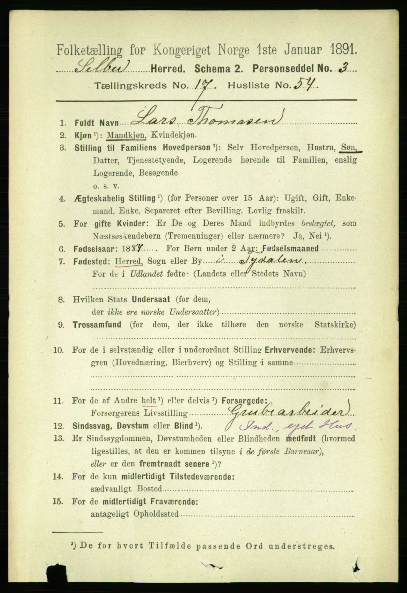 RA, 1891 census for 1664 Selbu, 1891, p. 6429