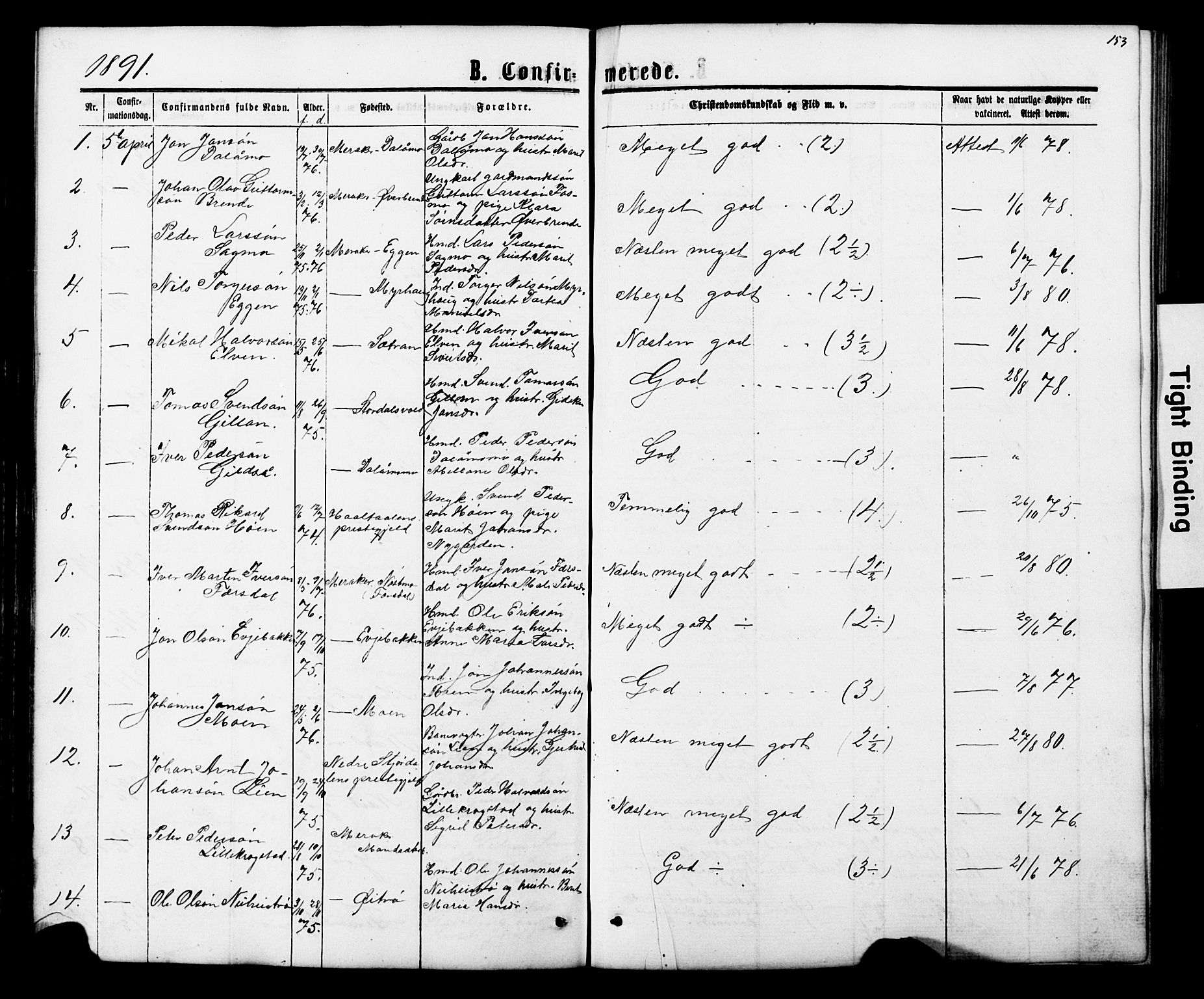 Ministerialprotokoller, klokkerbøker og fødselsregistre - Nord-Trøndelag, SAT/A-1458/706/L0049: Parish register (copy) no. 706C01, 1864-1895, p. 153