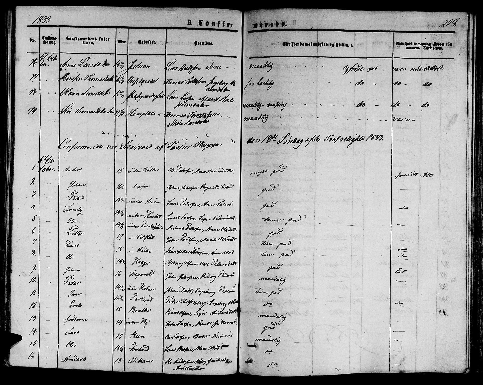 Ministerialprotokoller, klokkerbøker og fødselsregistre - Nord-Trøndelag, AV/SAT-A-1458/709/L0071: Parish register (official) no. 709A11, 1833-1844, p. 228