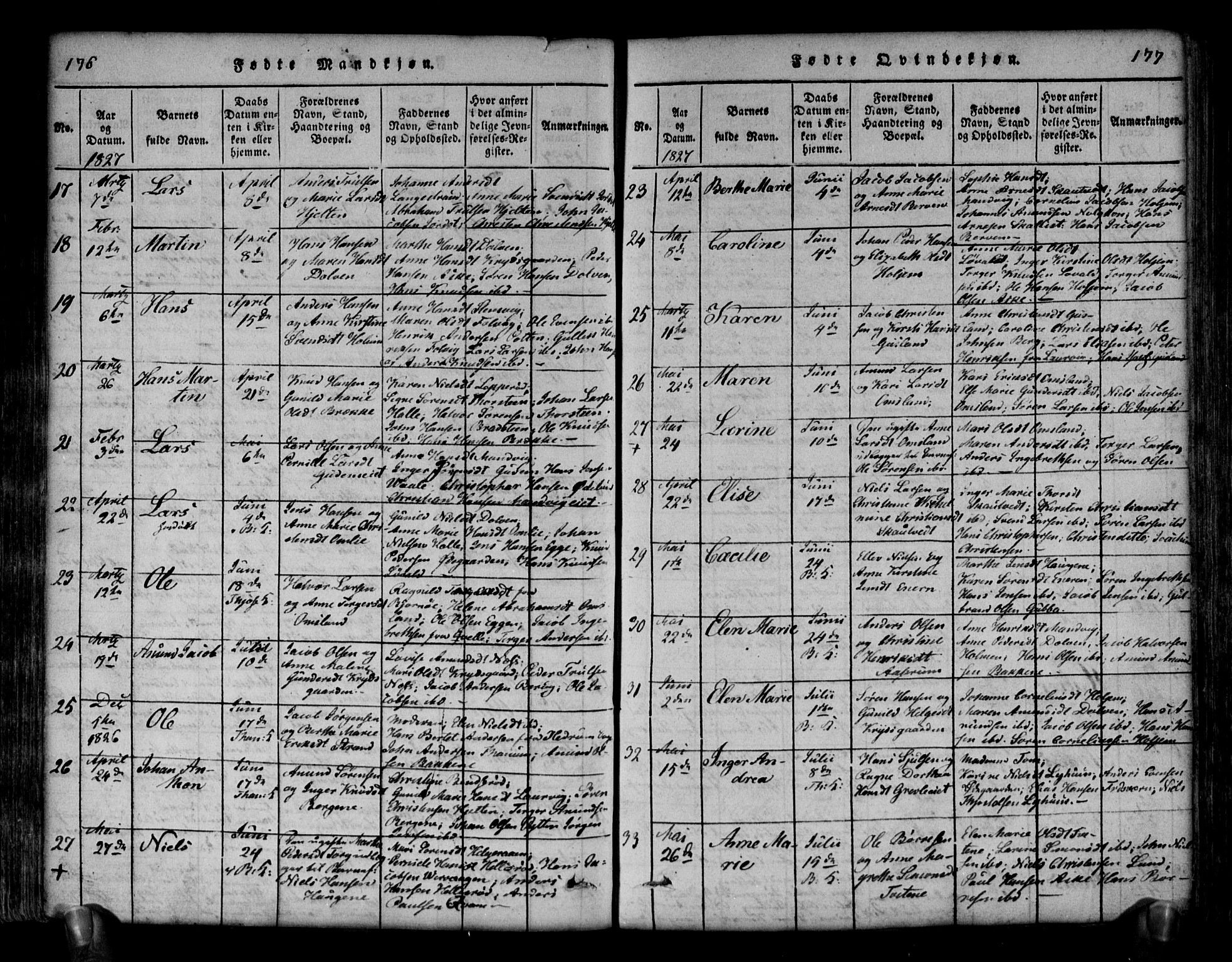 Brunlanes kirkebøker, AV/SAKO-A-342/G/Ga/L0001: Parish register (copy) no. I 1, 1814-1834, p. 176-177