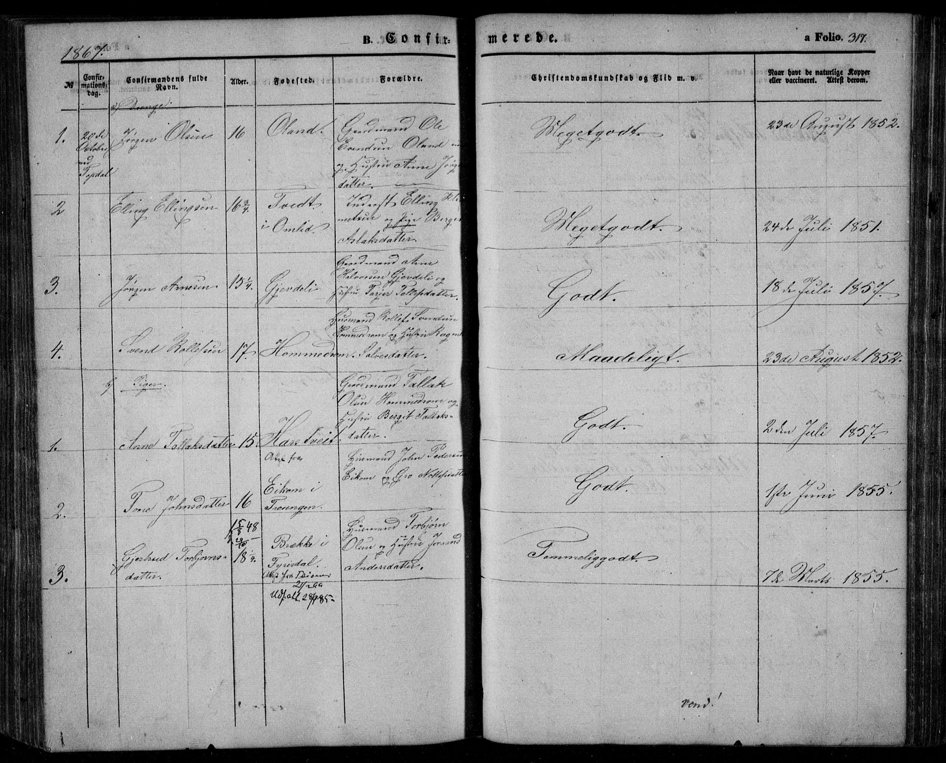 Åmli sokneprestkontor, AV/SAK-1111-0050/F/Fa/Fac/L0008: Parish register (official) no. A 8, 1852-1869, p. 317