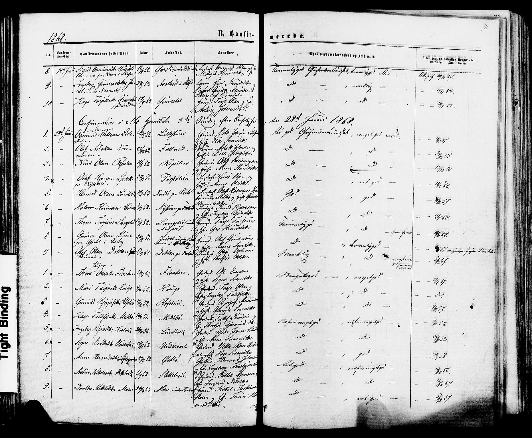 Mo kirkebøker, AV/SAKO-A-286/F/Fa/L0006: Parish register (official) no. I 6, 1865-1885, p. 116