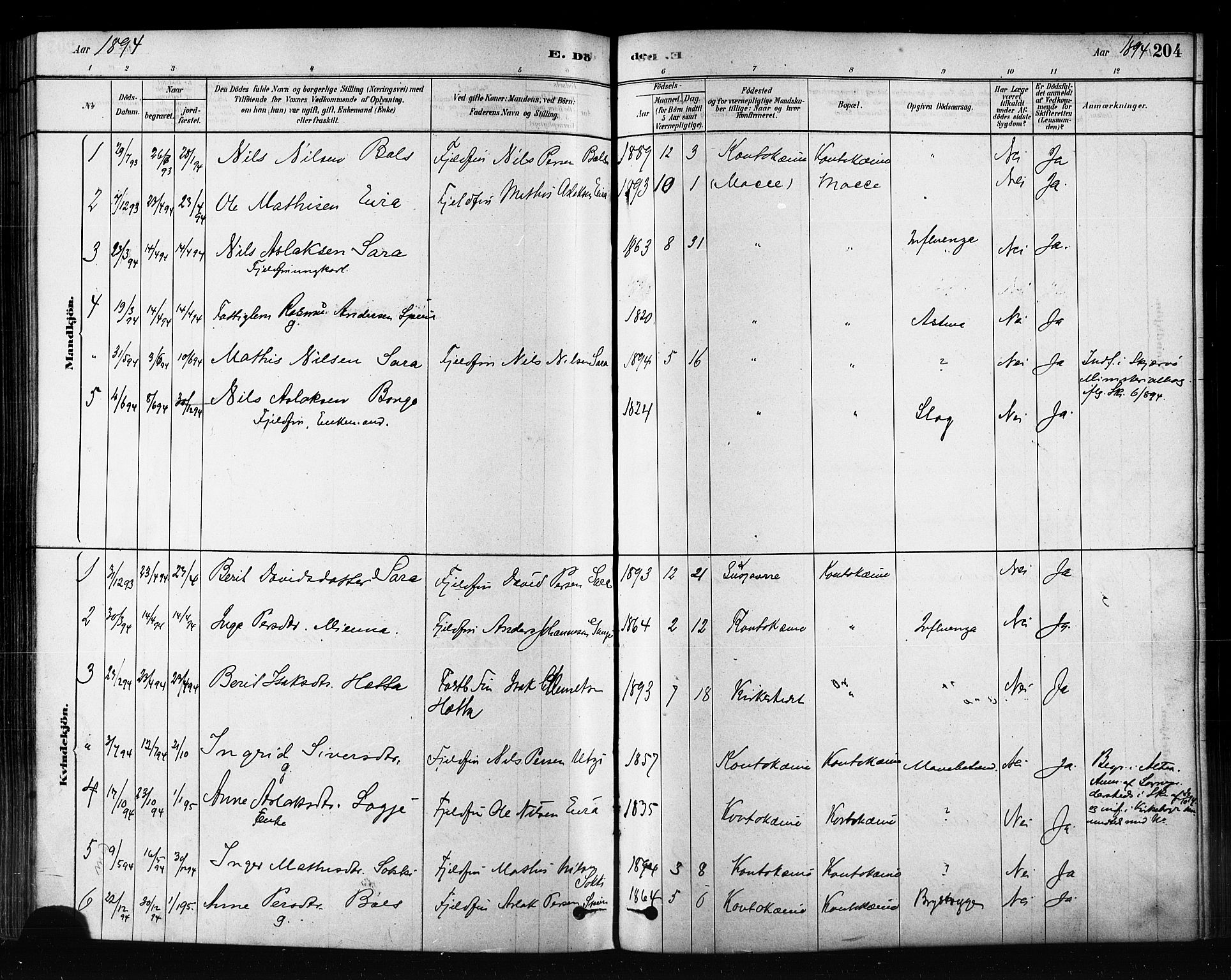 Kautokeino sokneprestembete, AV/SATØ-S-1340/H/Ha/L0004.kirke: Parish register (official) no. 4, 1877-1896, p. 204