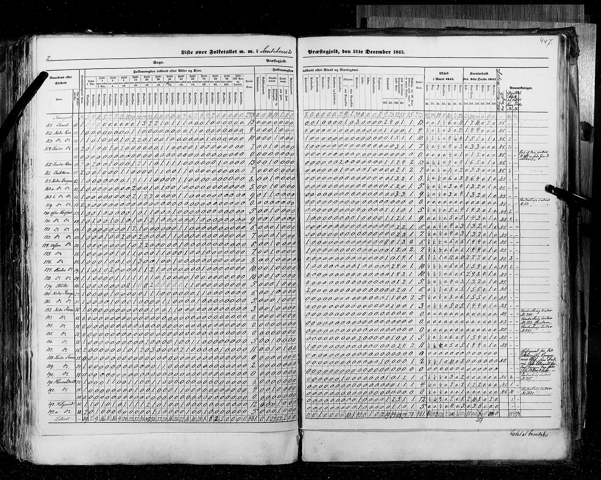 RA, Census 1845, vol. 4: Buskerud amt og Jarlsberg og Larvik amt, 1845, p. 447