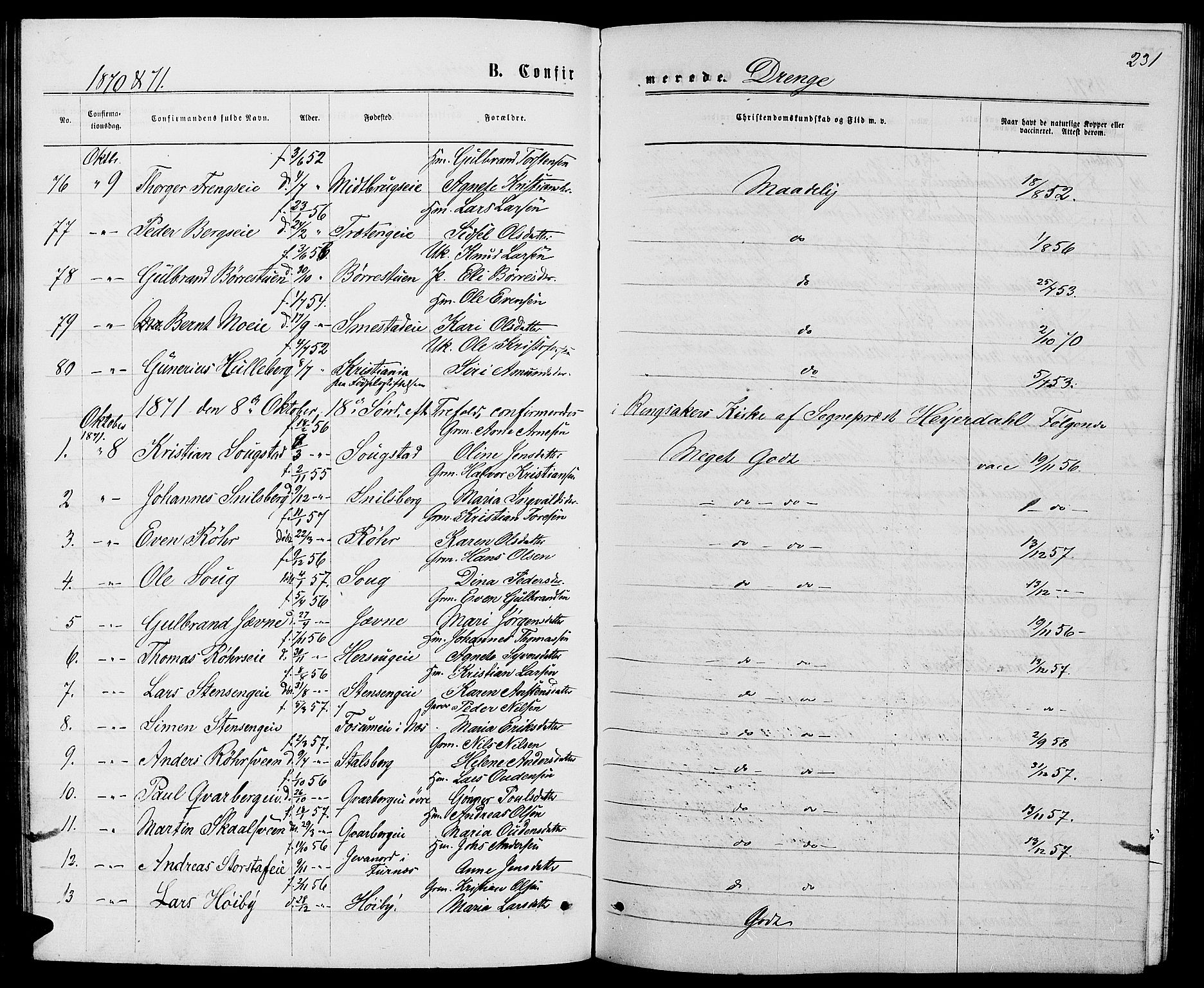 Ringsaker prestekontor, AV/SAH-PREST-014/L/La/L0008: Parish register (copy) no. 8, 1870-1878, p. 231