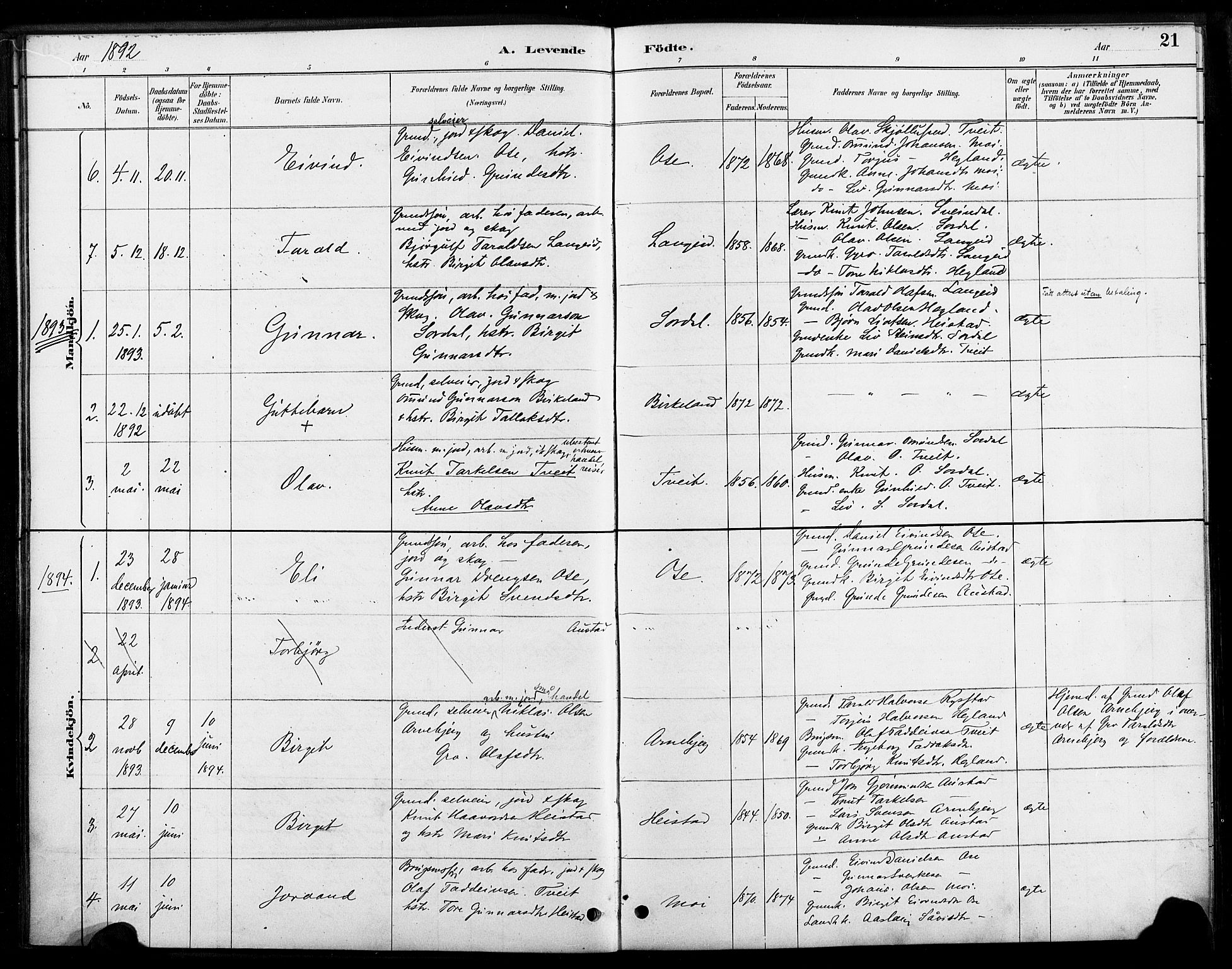 Bygland sokneprestkontor, SAK/1111-0006/F/Fa/Faa/L0001: Parish register (official) no. A 1, 1885-1908, p. 21